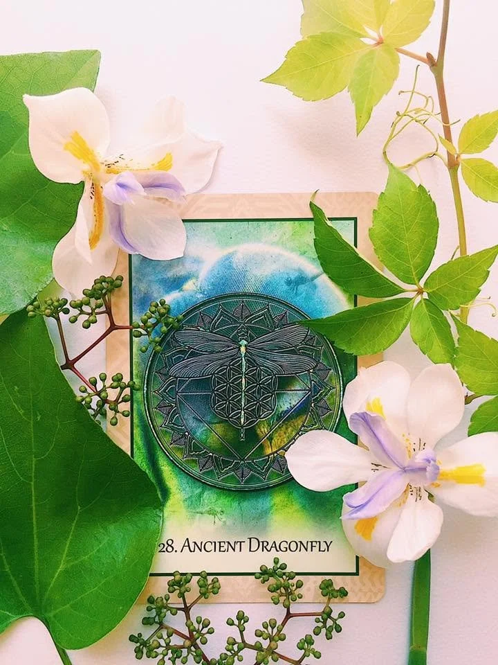 Dragonfly card.jpg