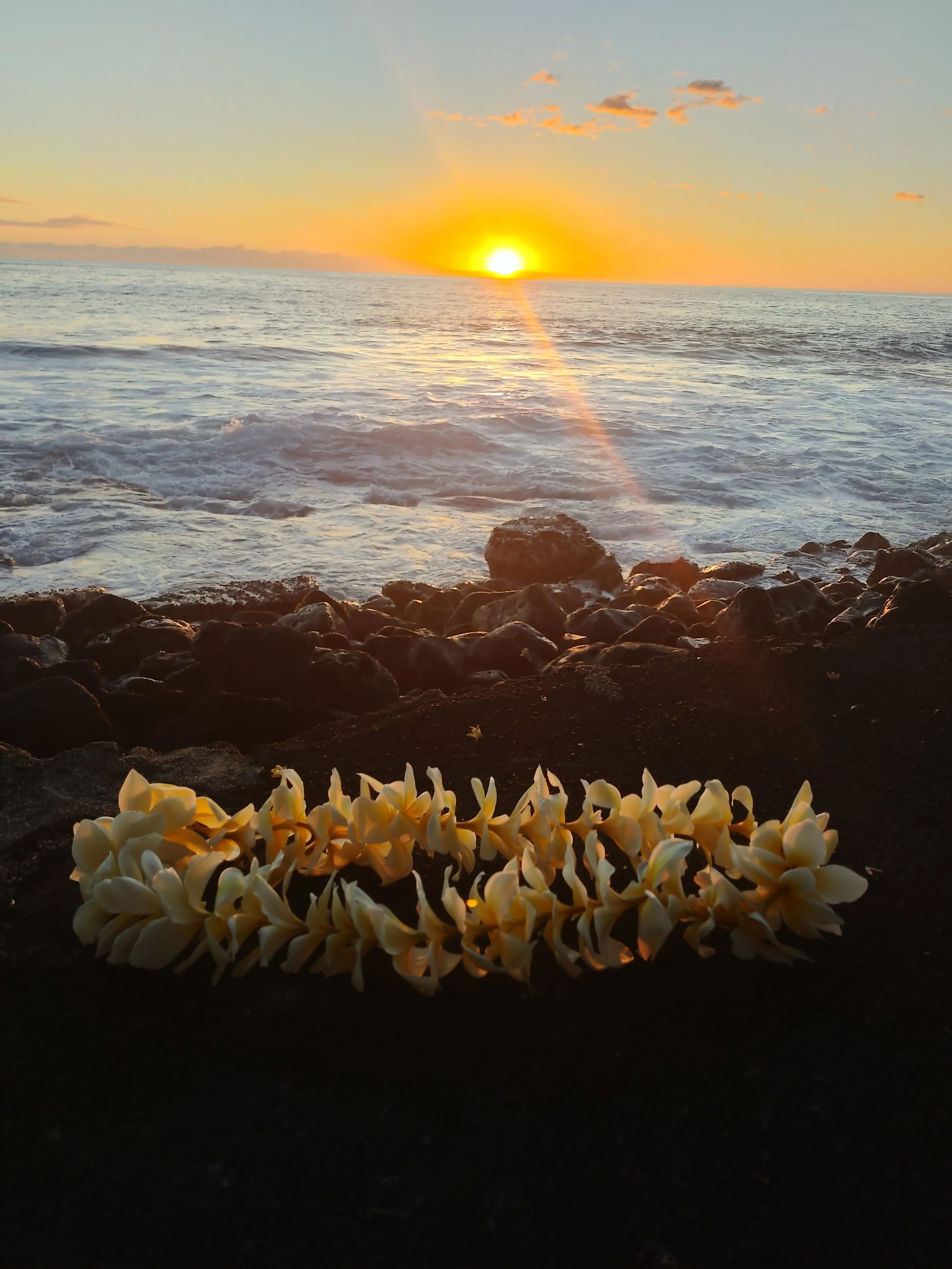 Big Island Food Tour / Half Day