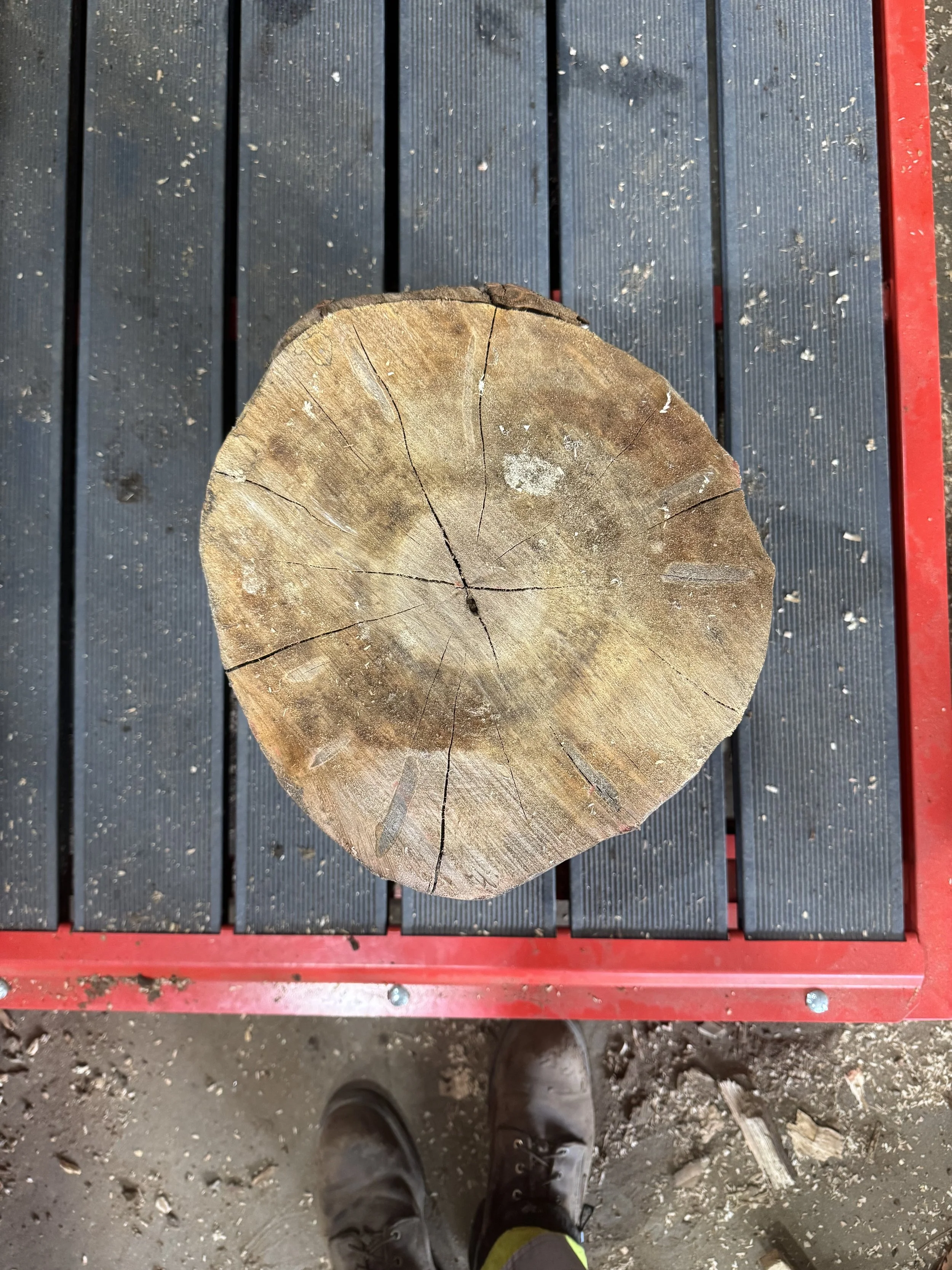 Firewood Round Before