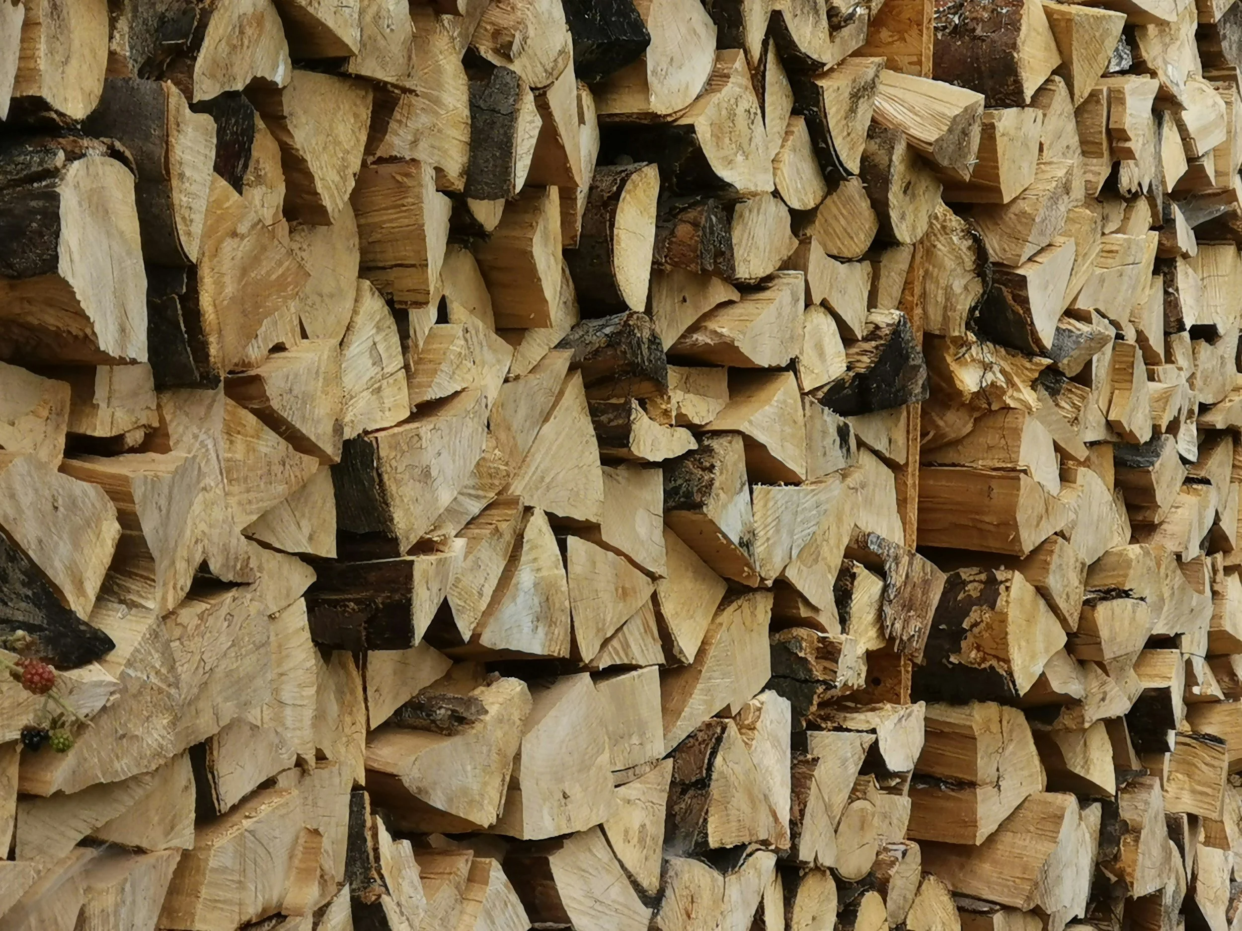 Stacked firewood logs arranged in a pile.