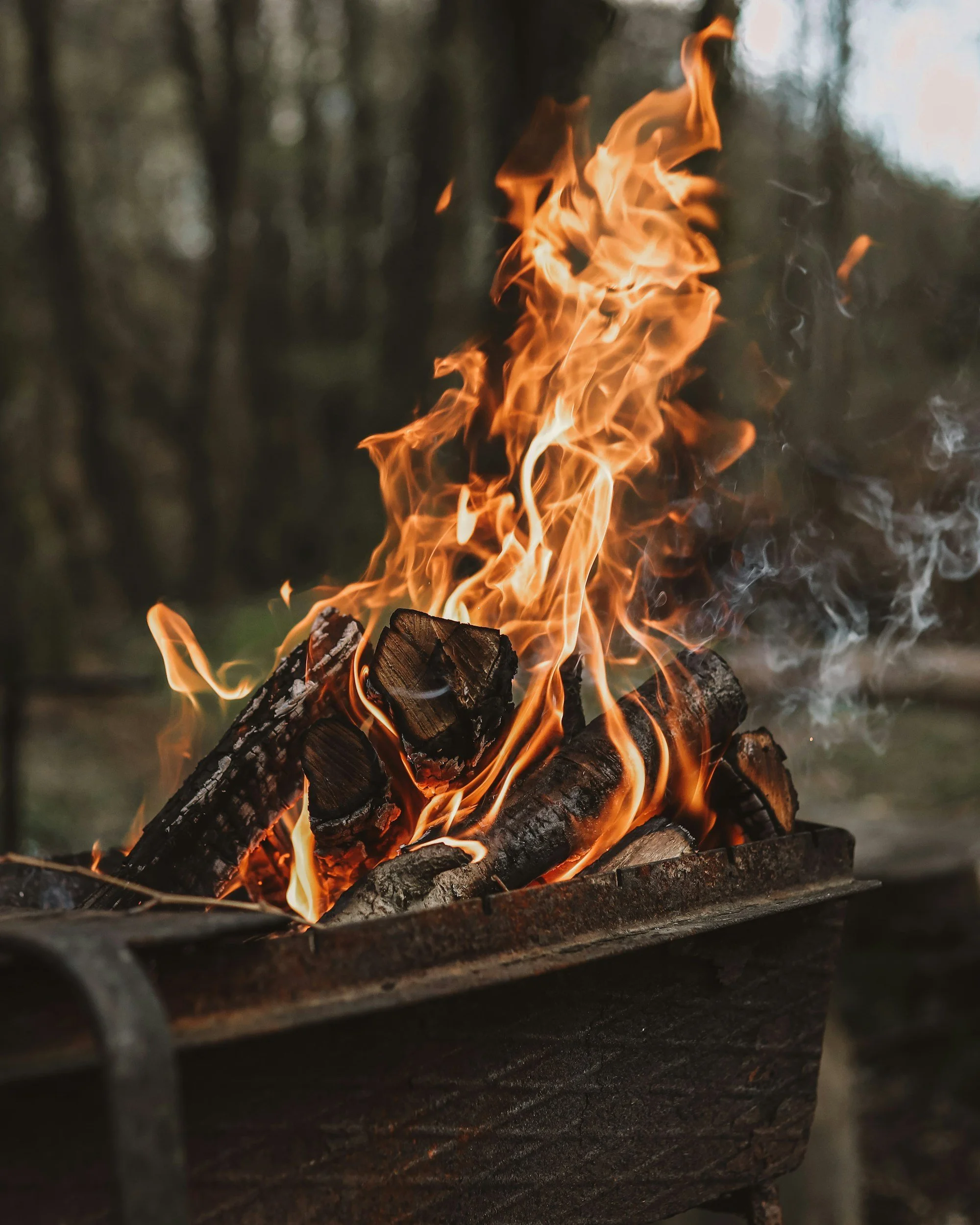 Buying, Drying, and Burning Firewood the Right Way