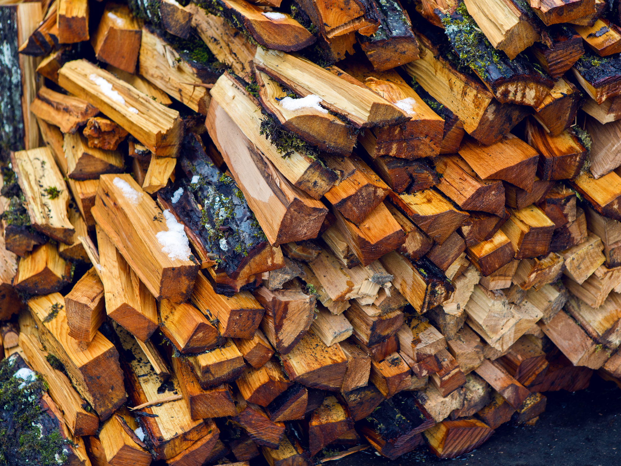 Brockley-tree-service-–-wet-firewood-–-featured-image.png