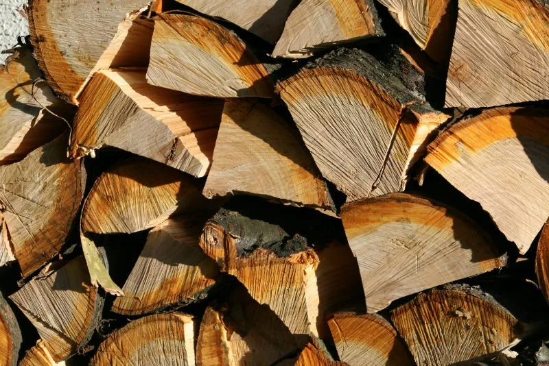 Green Firewood