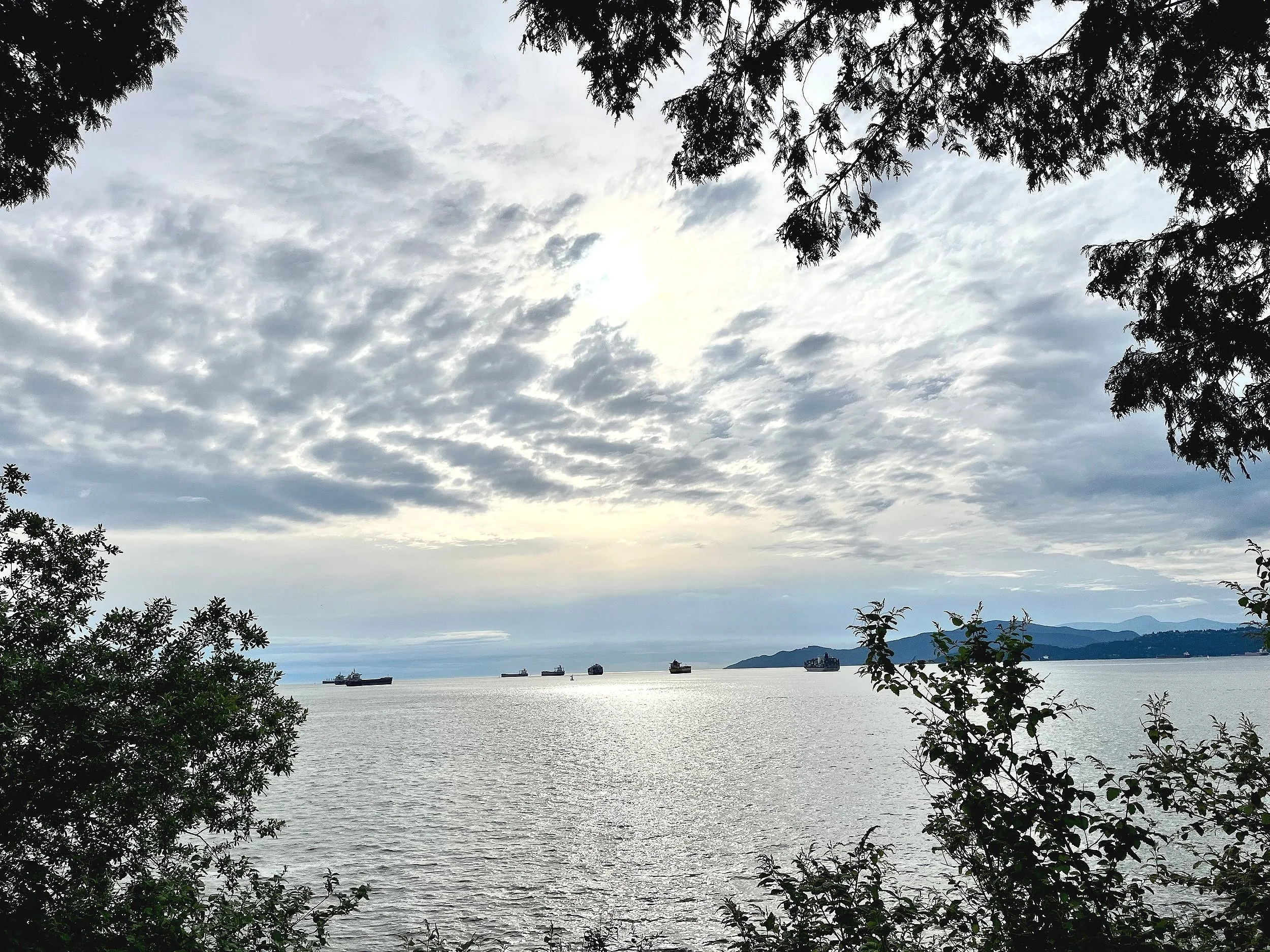 Peaceful, calming ocean view Vancouver