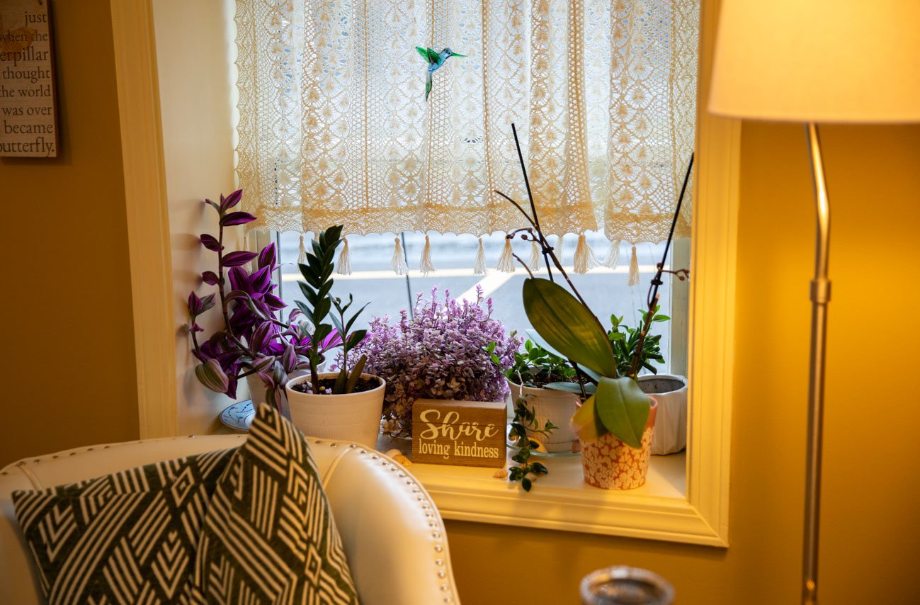 group of plants on window sill with a chair in front