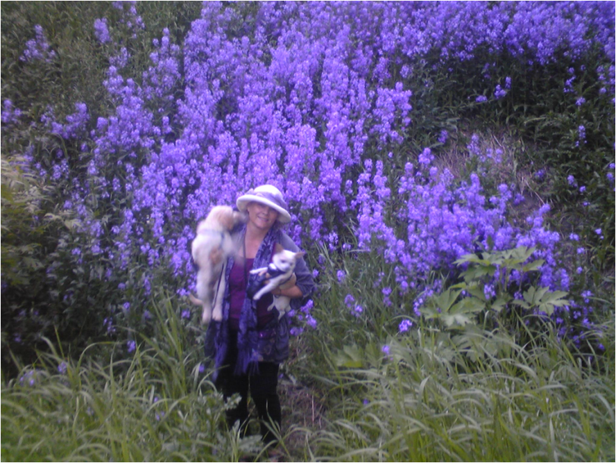 A woman in a hat and purple clothing holding two small dogs standing in front of dense purple flowers.