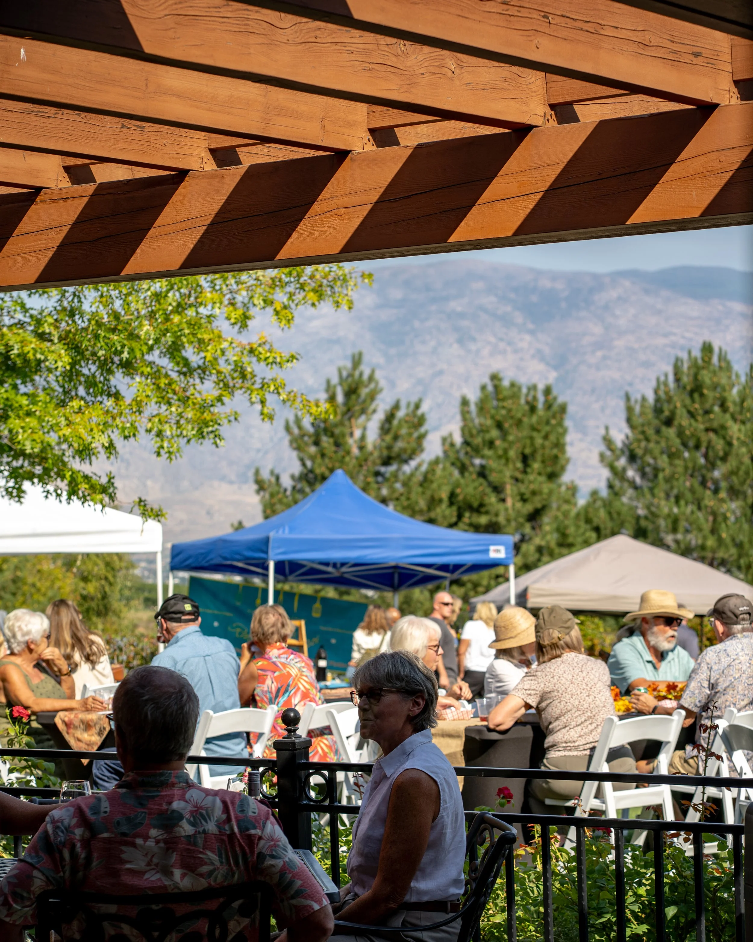 hester creek event community