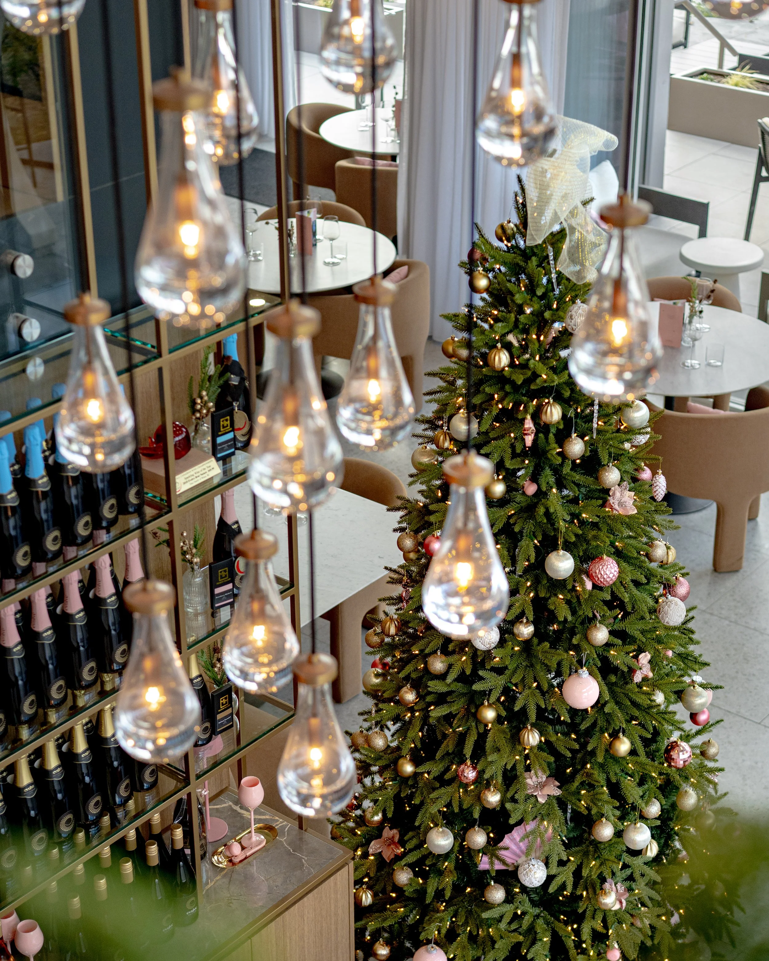 Evolve sparkling photography