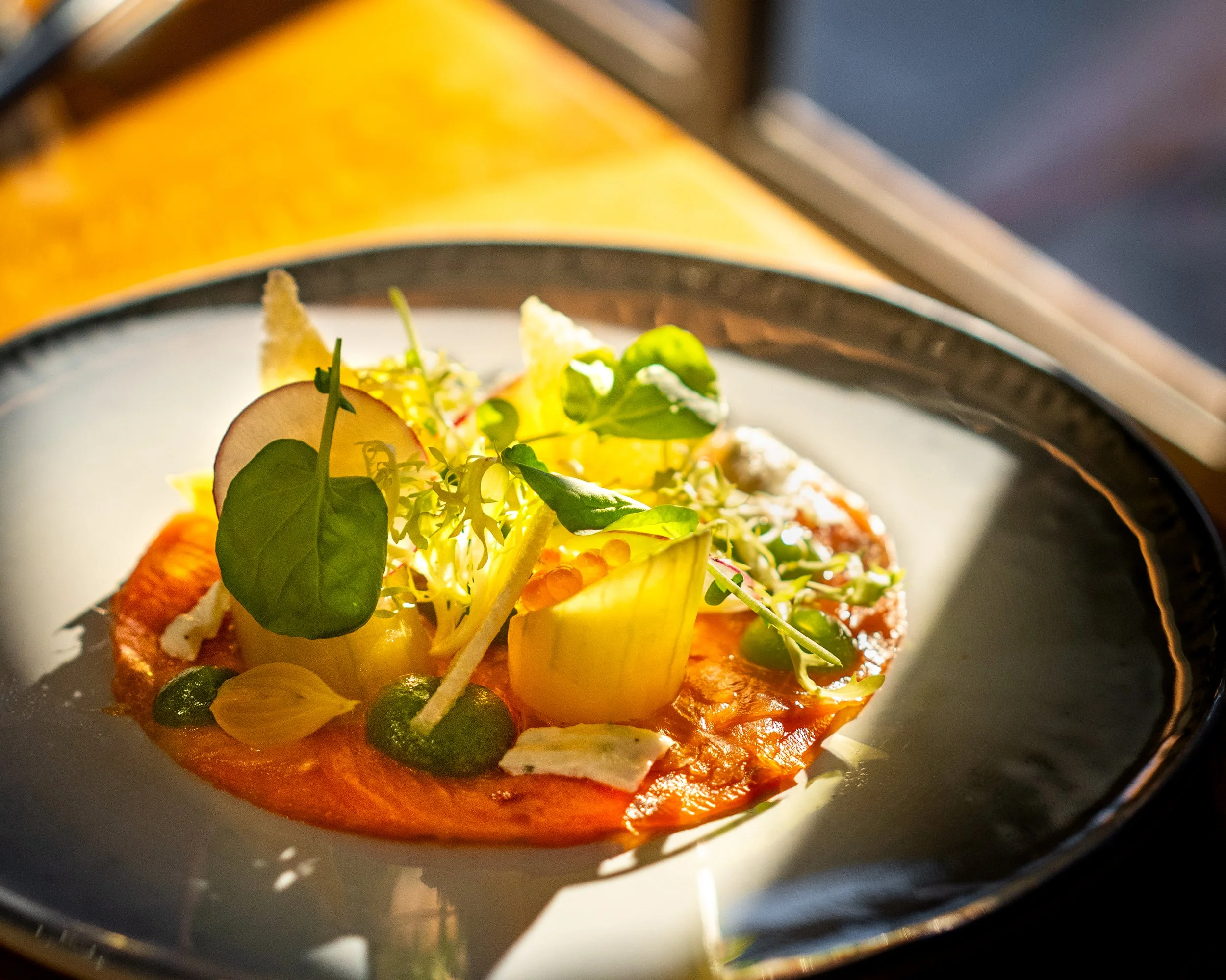 20260306 Burrowing Owl-31.jpg