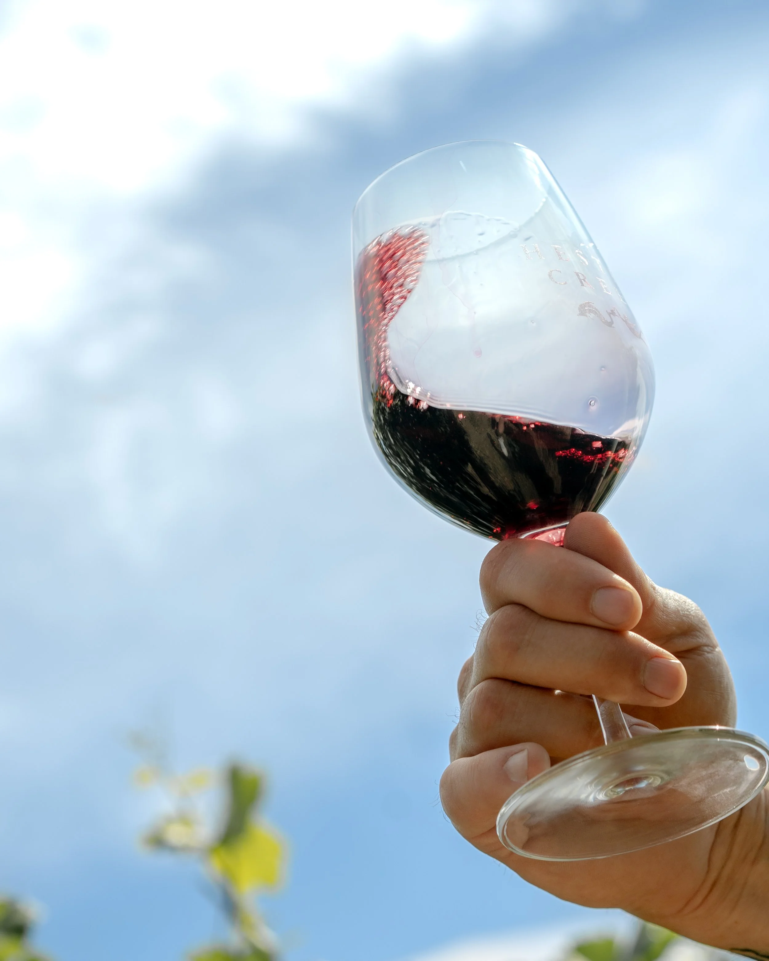 winery wine photography red 