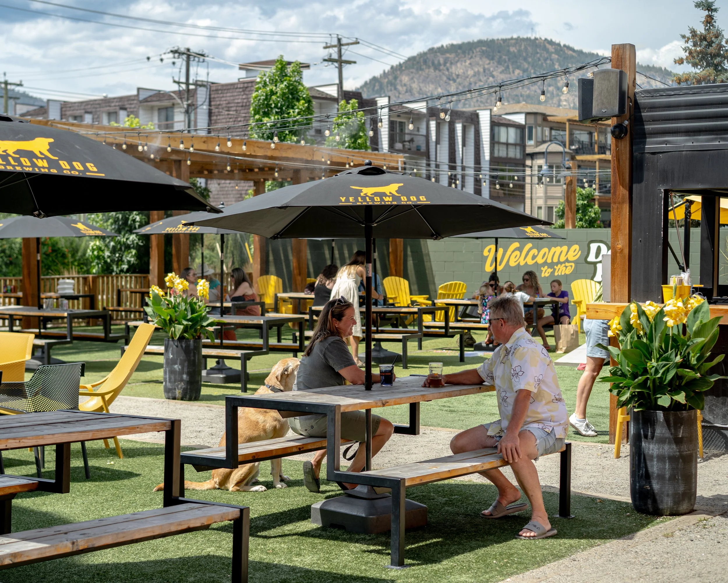 yellow dog patio summer beer 