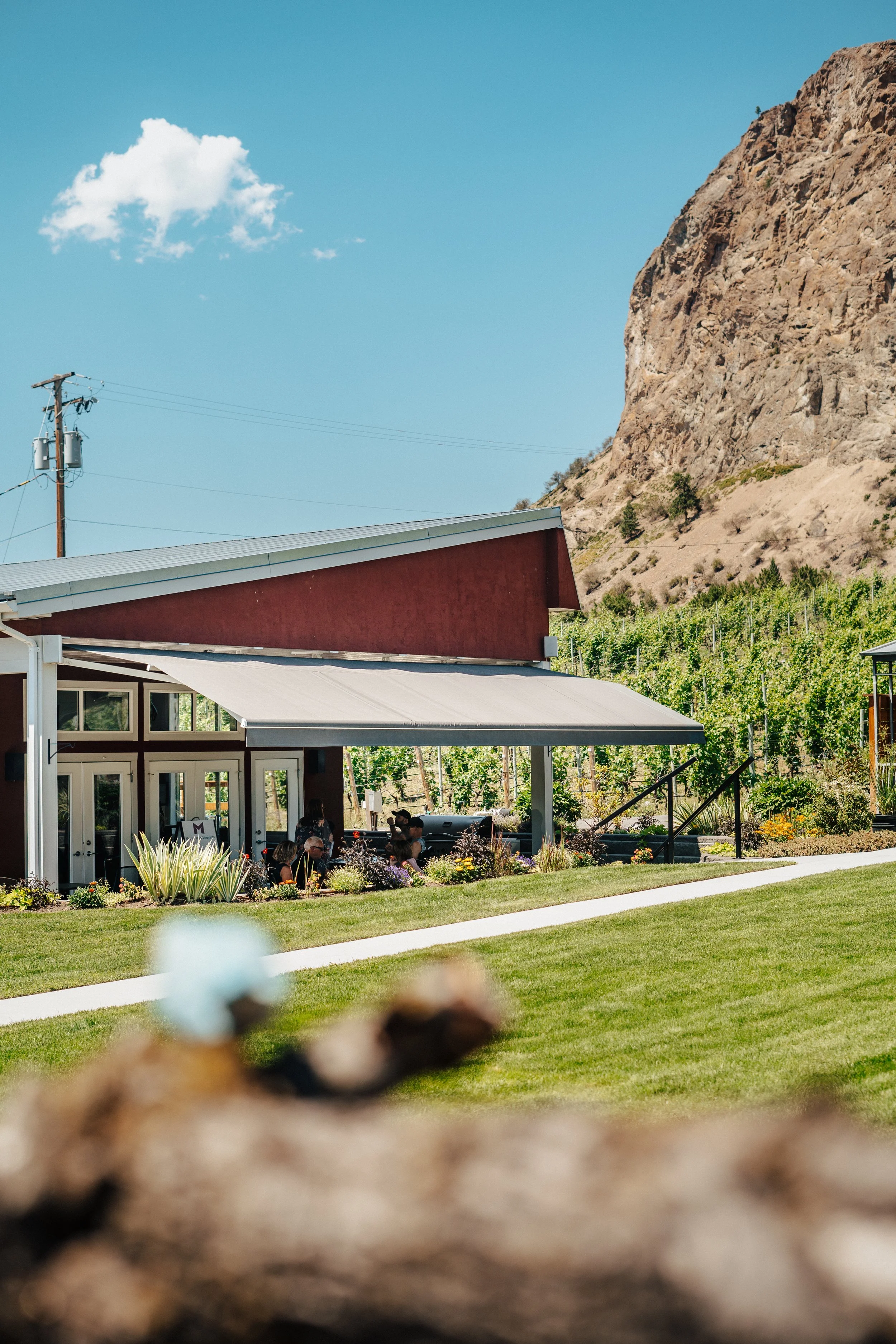 ok falls winery wine meyer