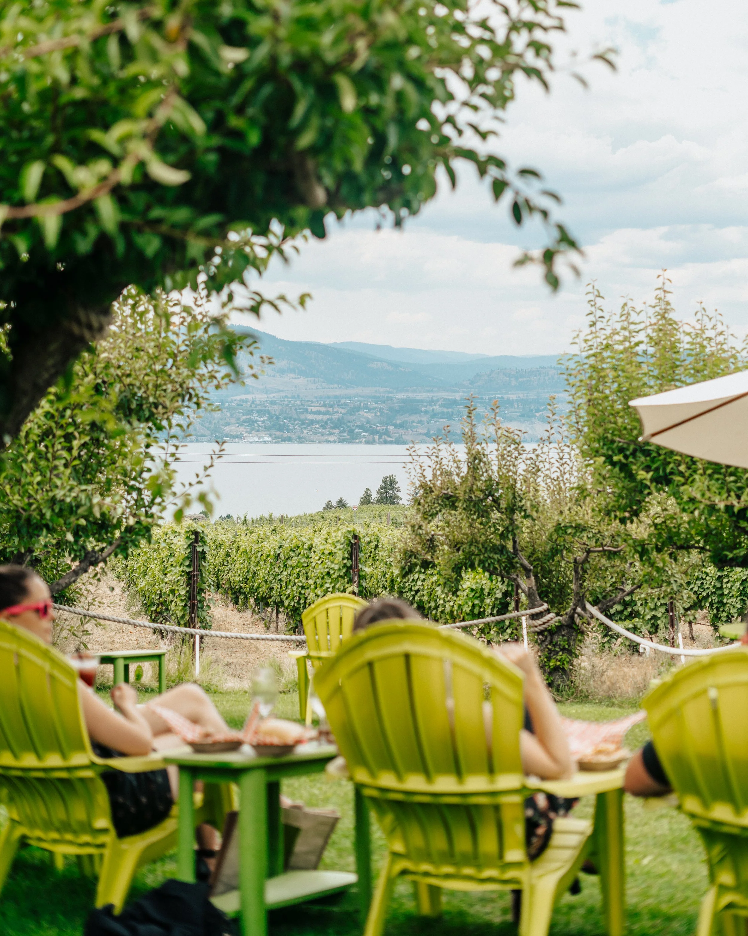 joie wine vineyard photography