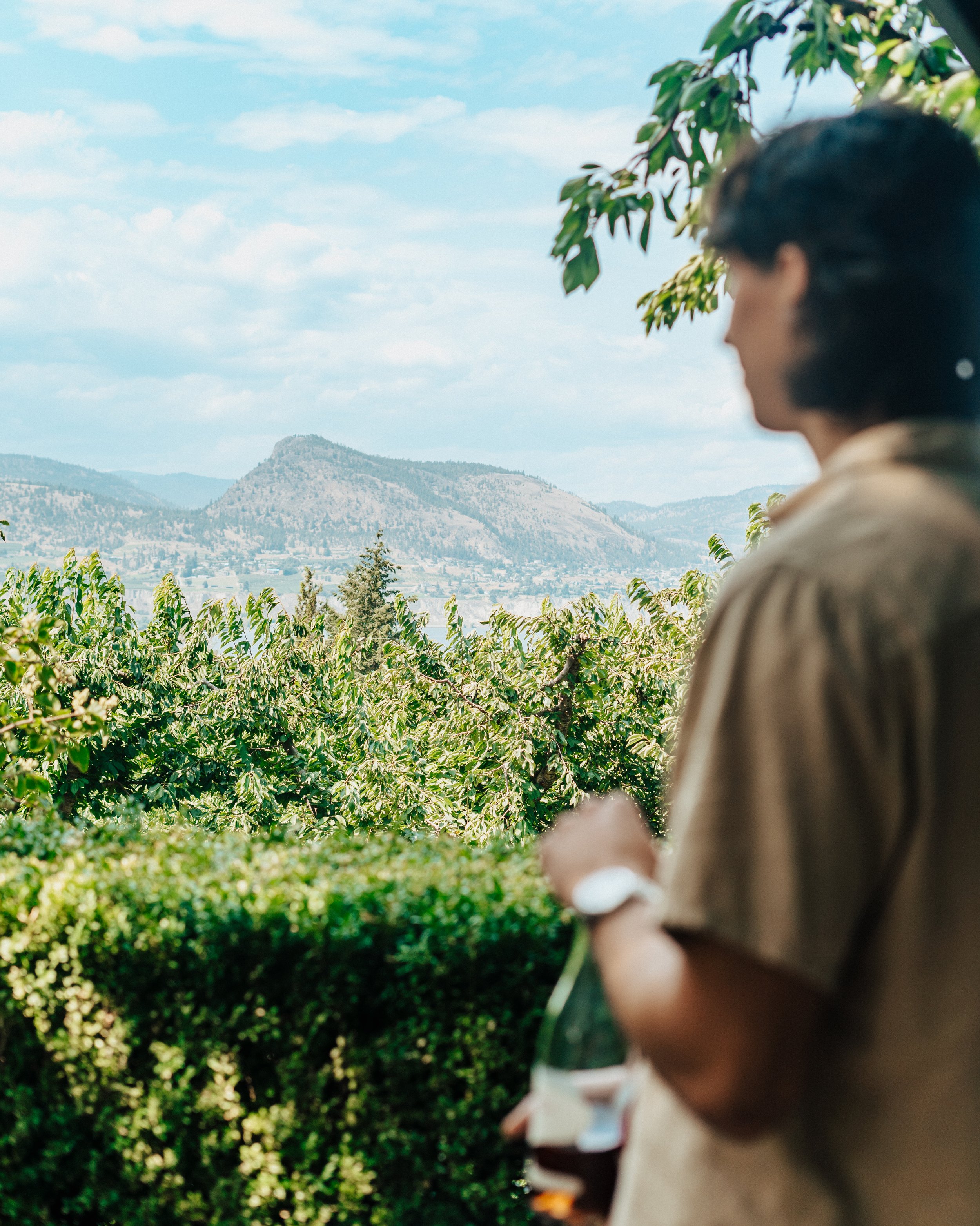 naramata photography wine vineyard