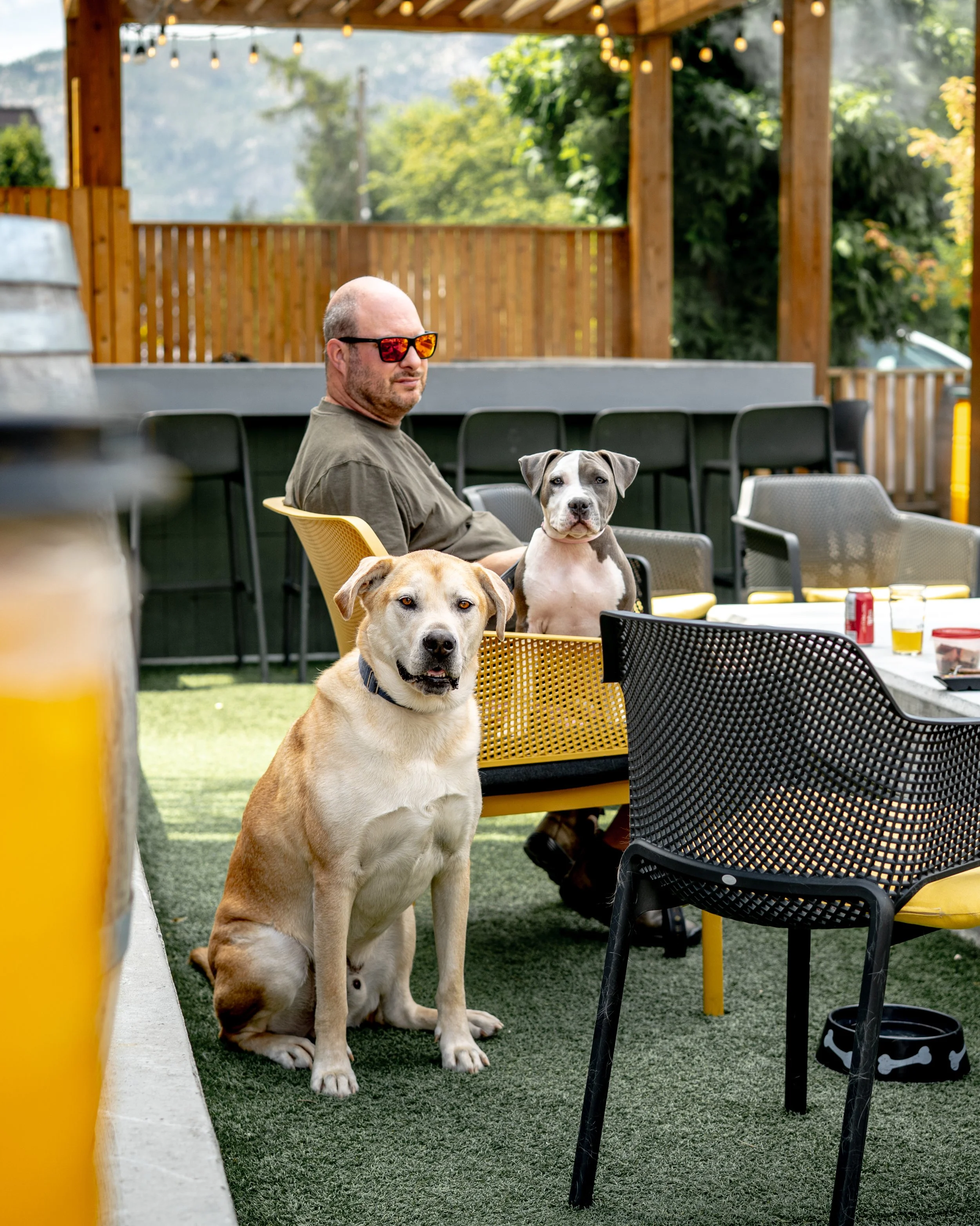 yellow dog patio dog park