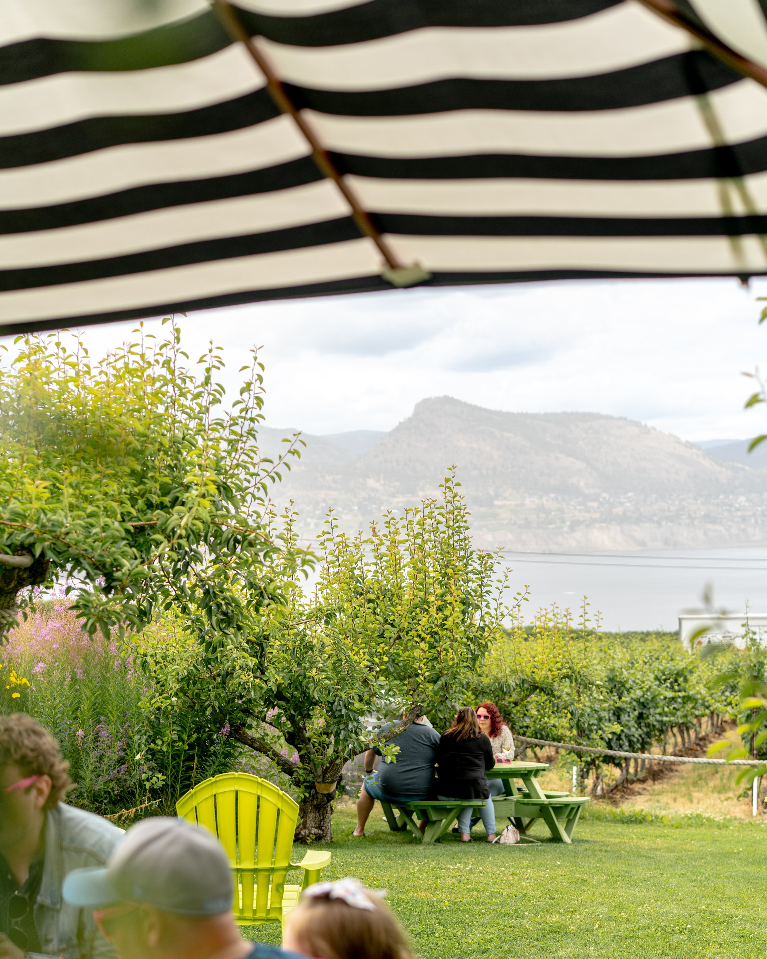 patio tasting wine liquor photography