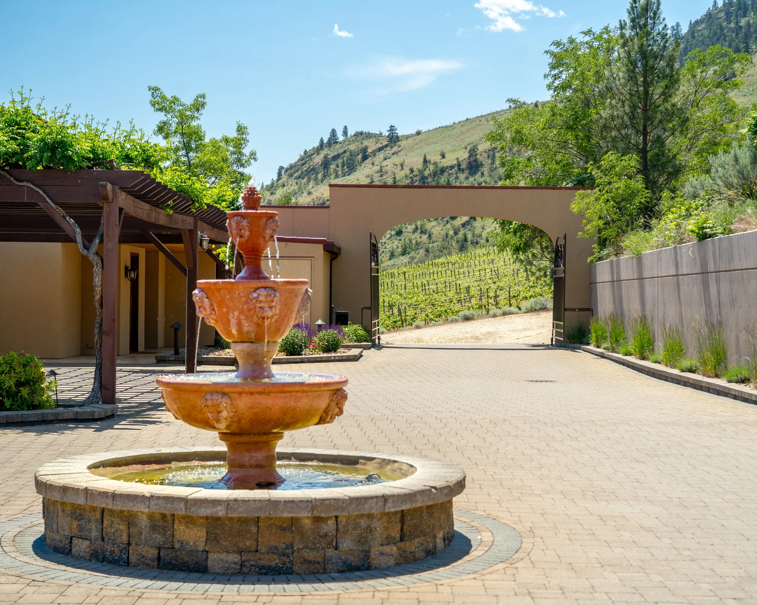 hester creek photography resort wine