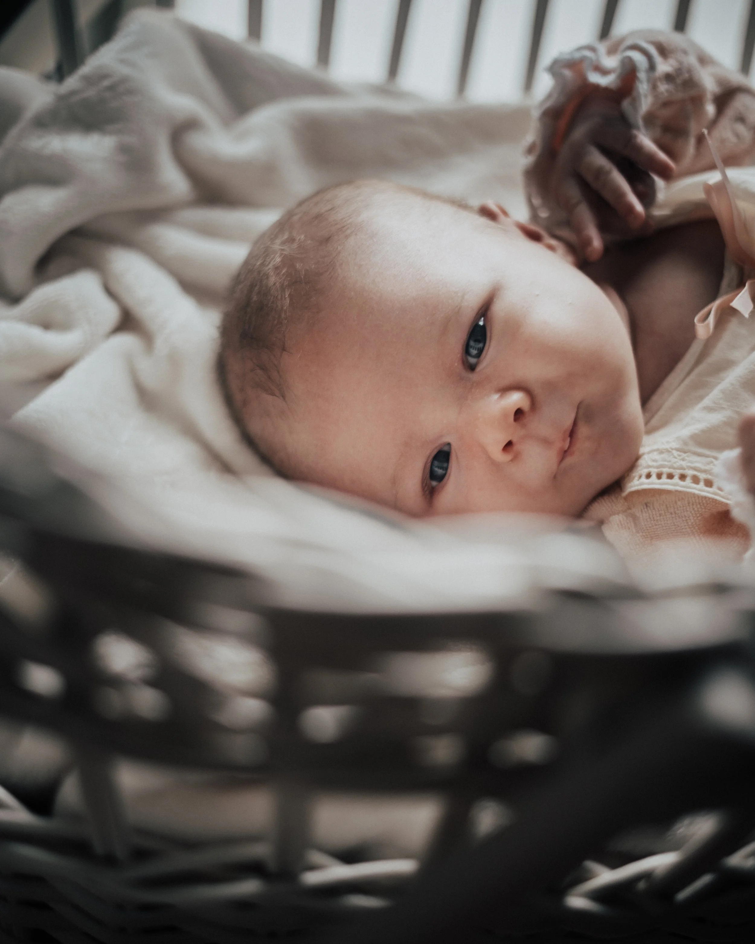 newborn photography 