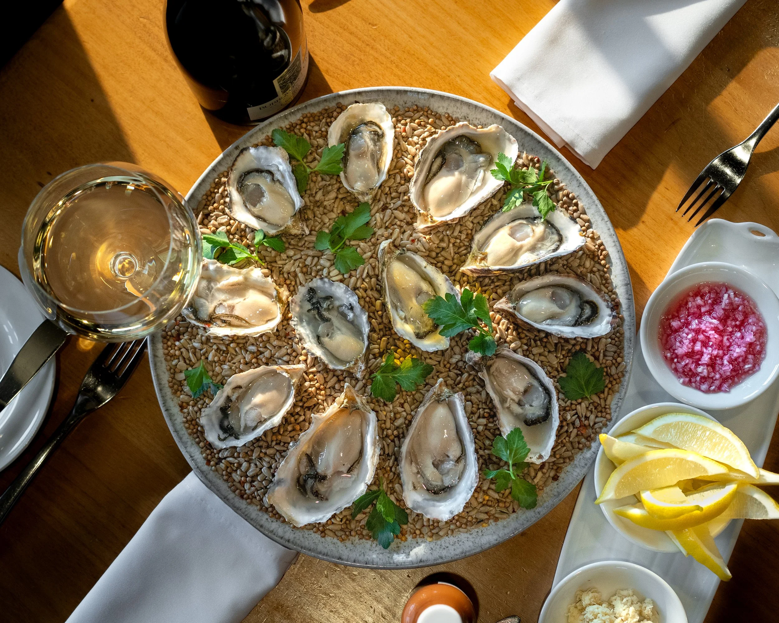 20260306 Burrowing Owl-5.jpg