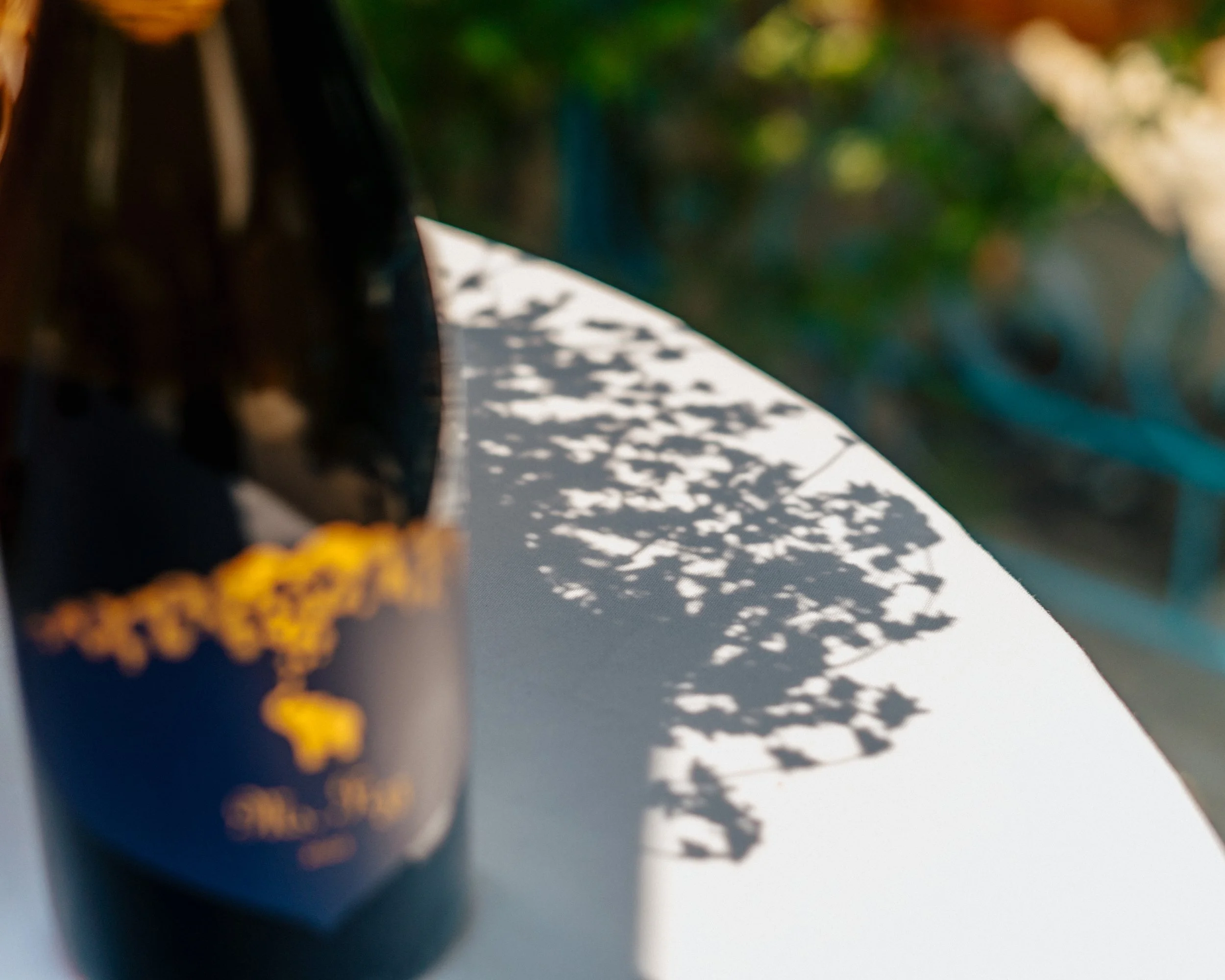 elephant island photography wine