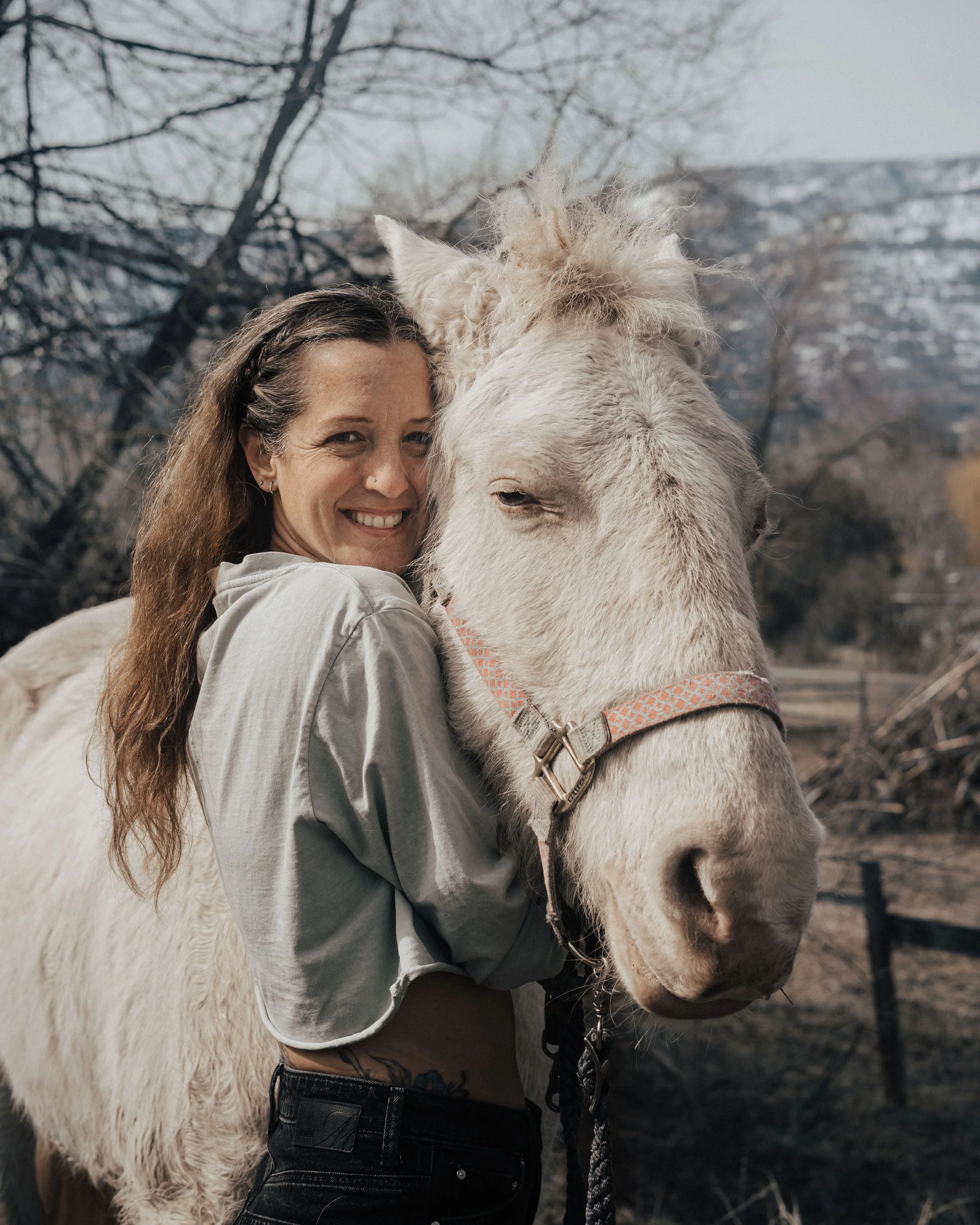 photography lifestyle animals