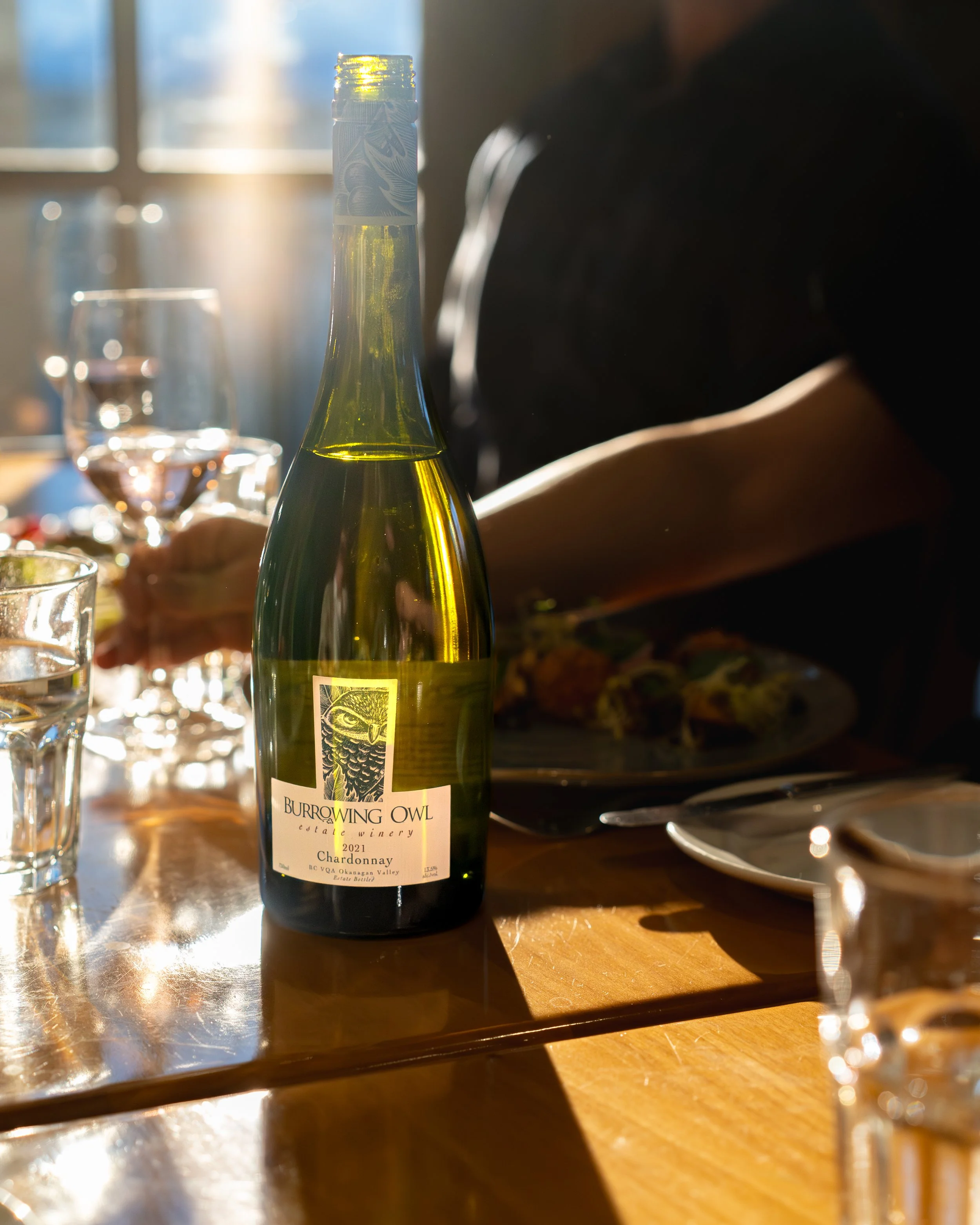 20260306 Burrowing Owl-27.jpg