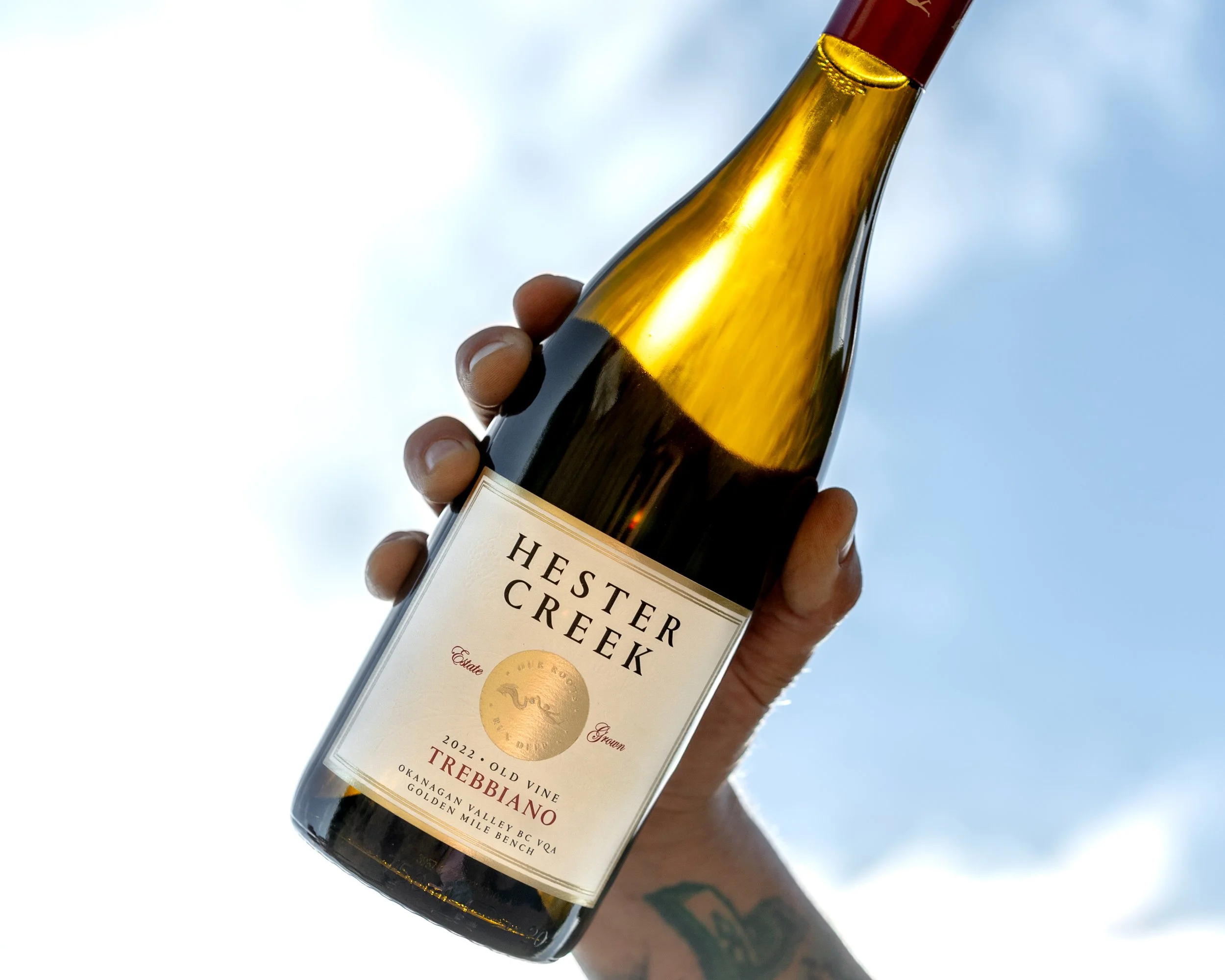 hester creek wine winery photography