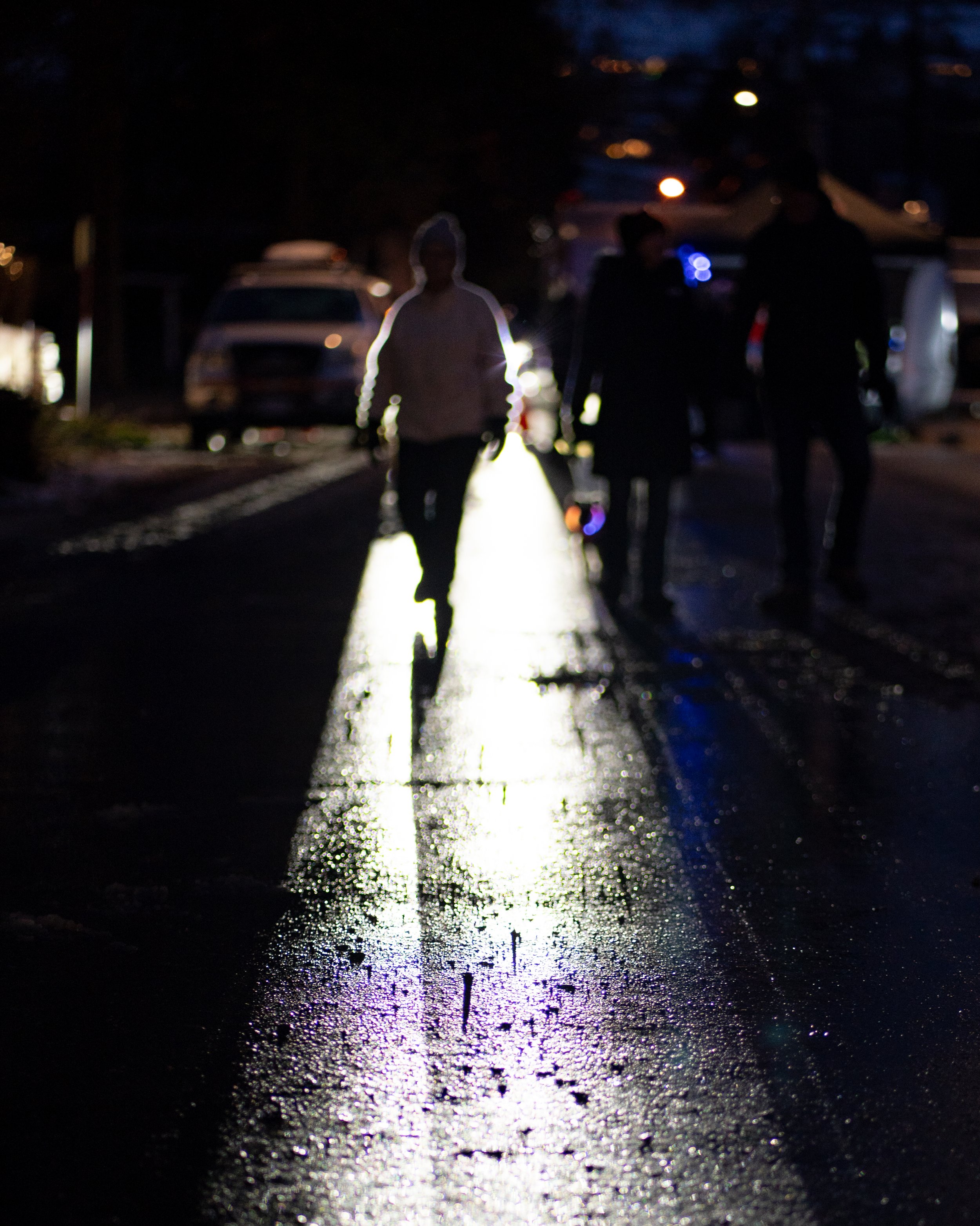 photography winter market