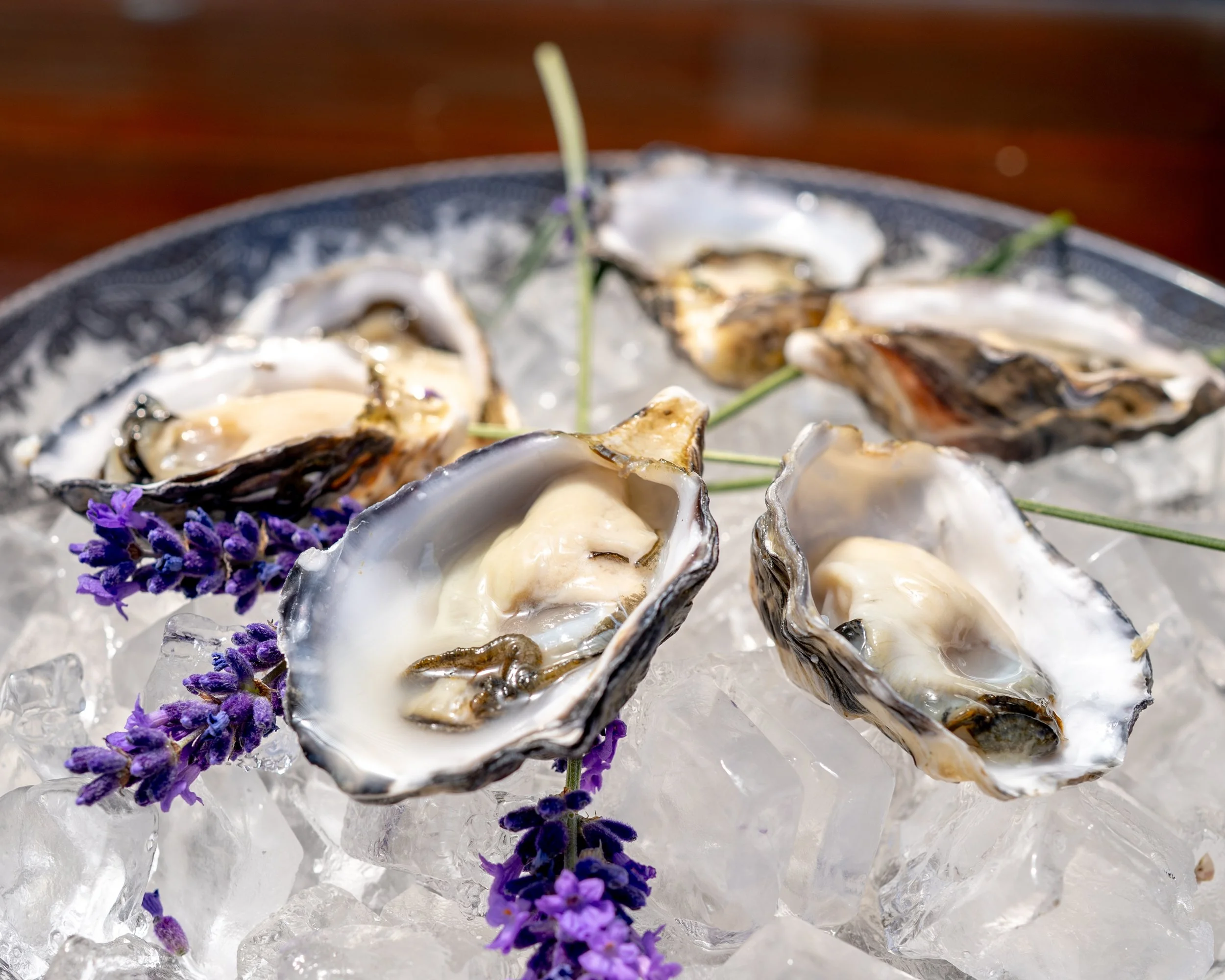 20260614 Wild Goose-5.jpg