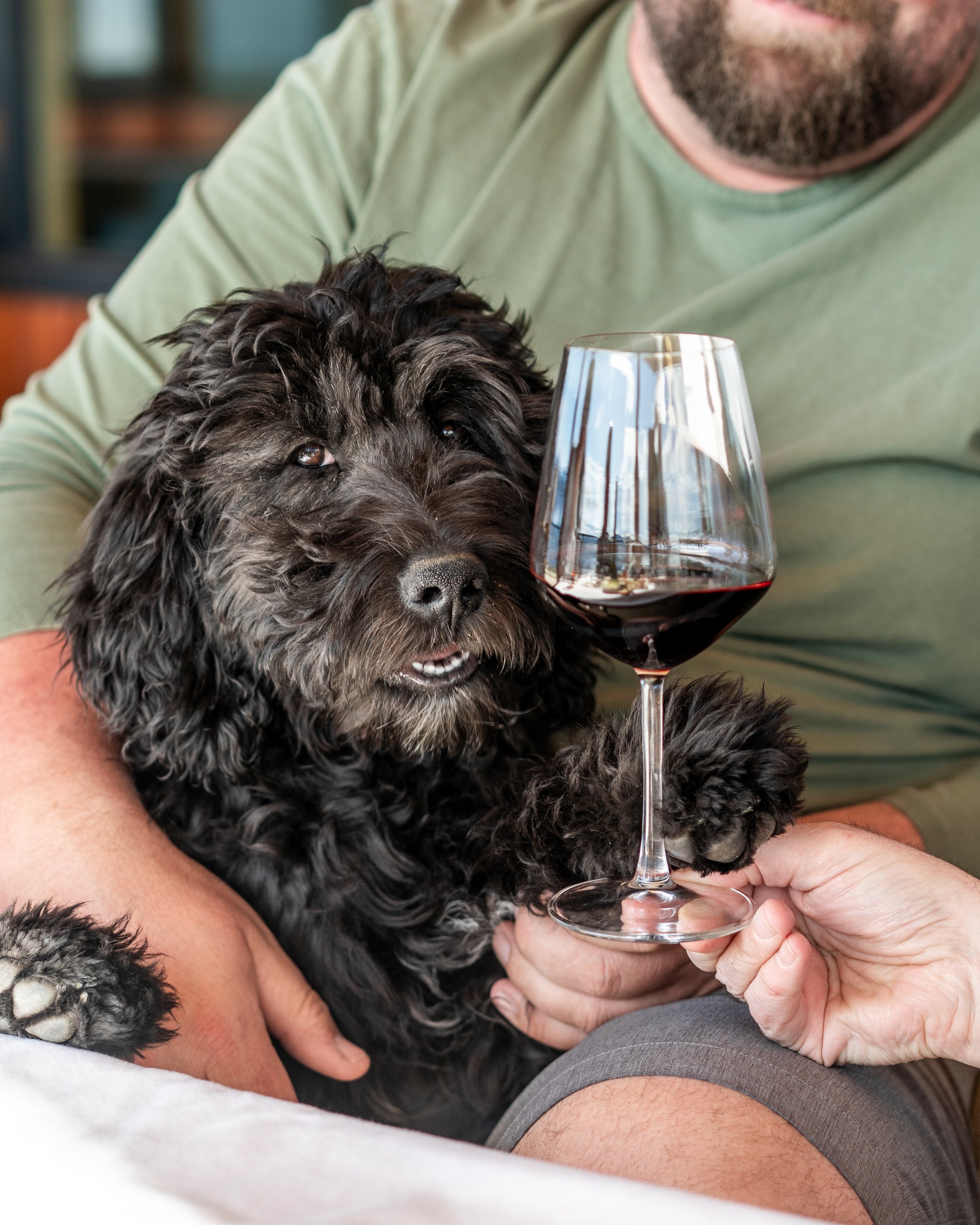 photography red wine doodle naramata