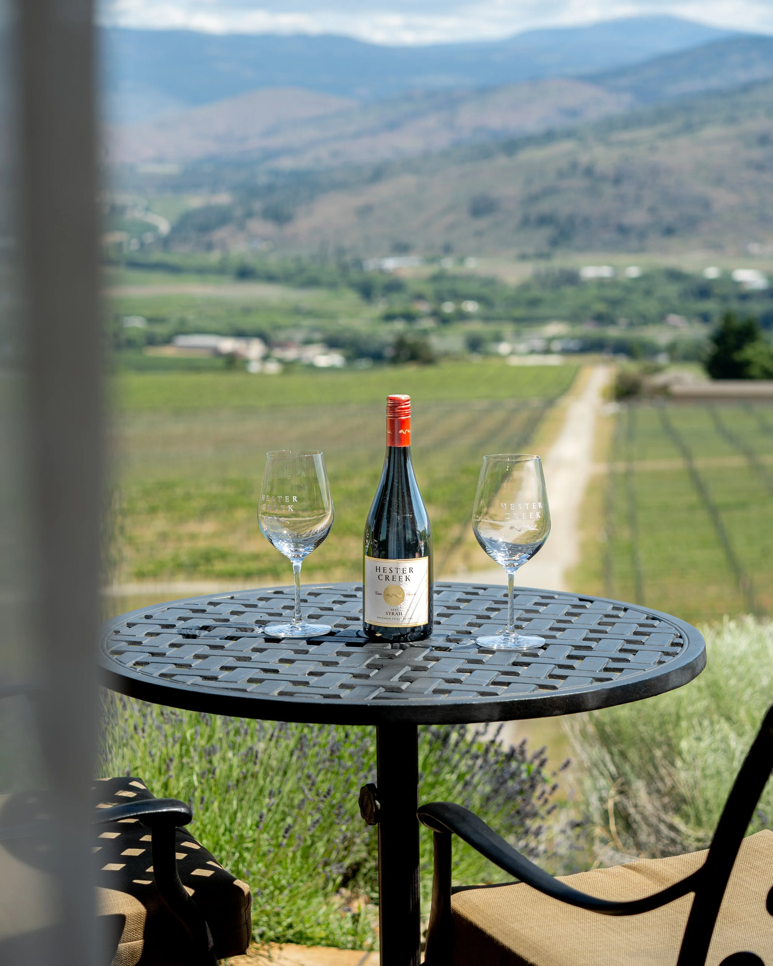 hester creek resort vineyard