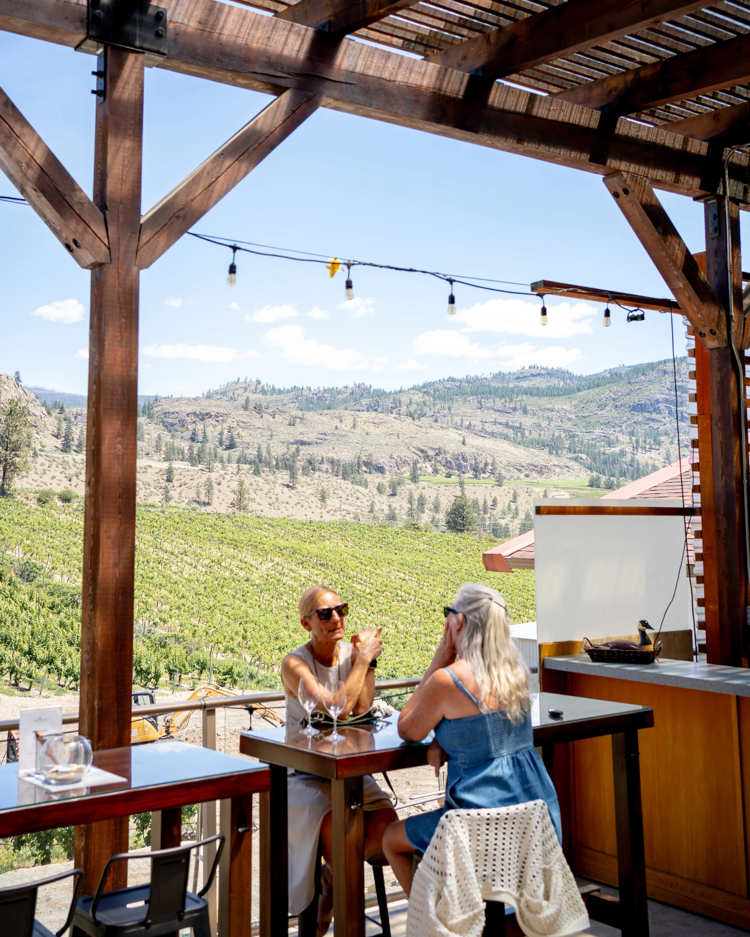 20260614 Wild Goose-16.jpg