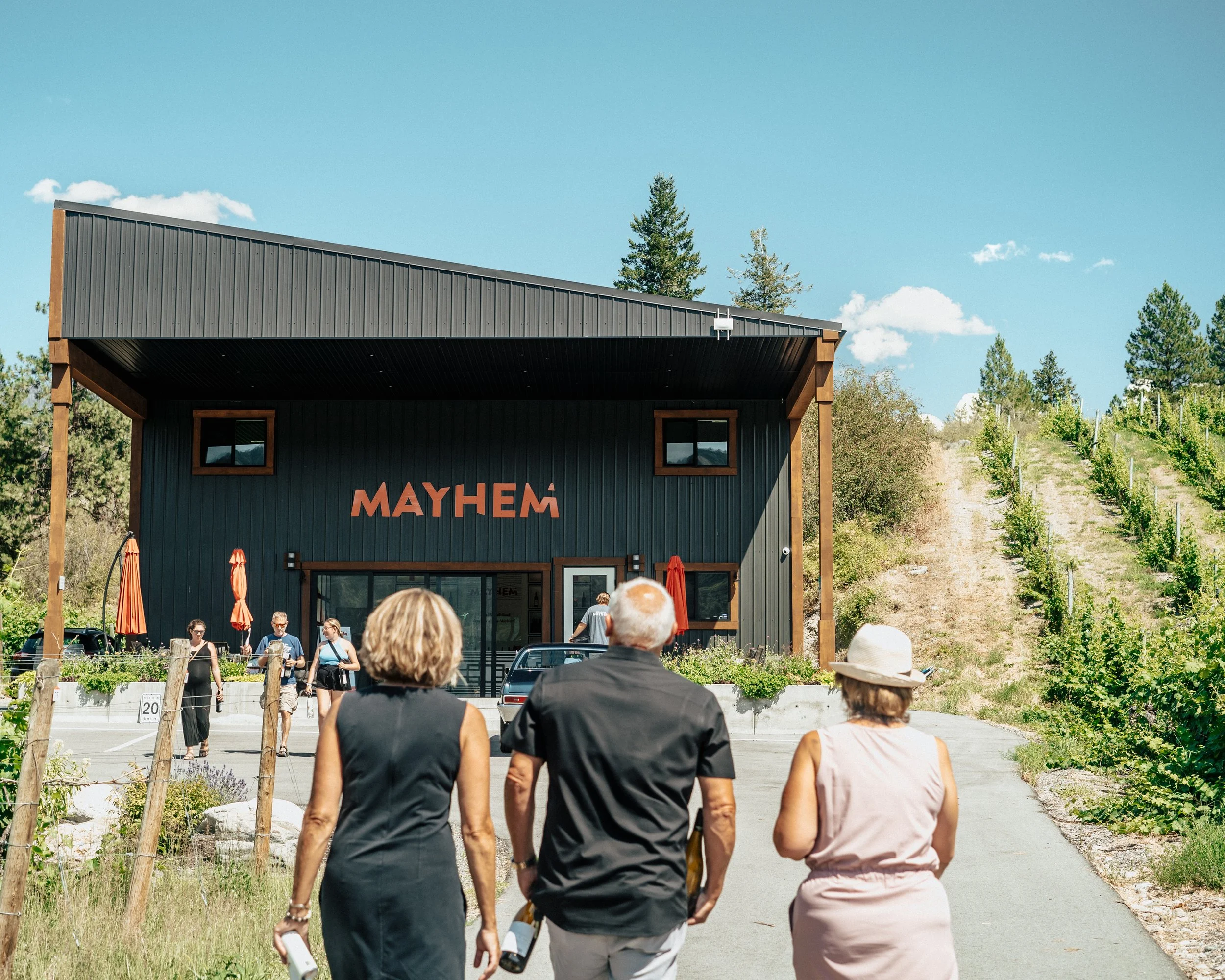 mayhem wine vineyard photography