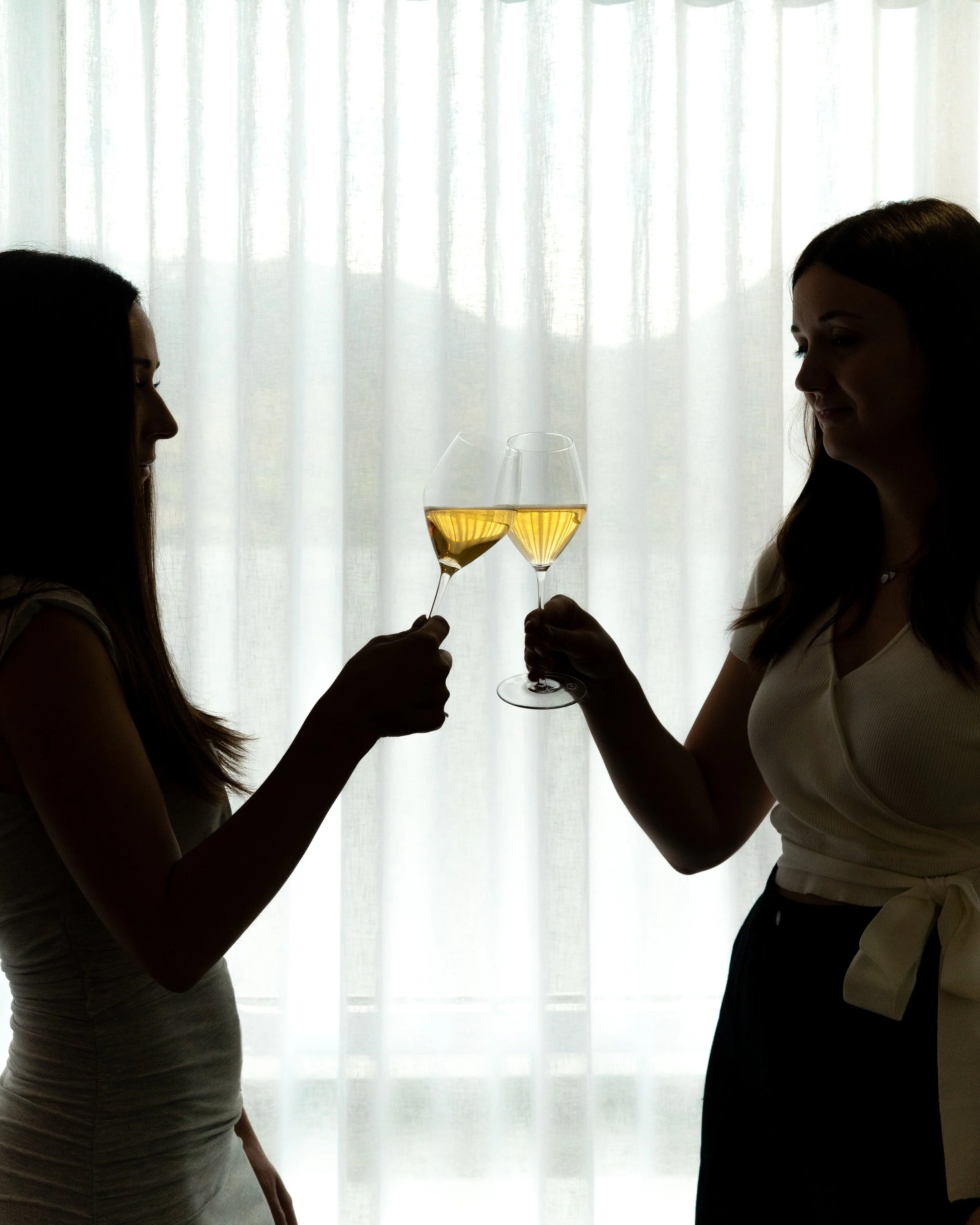 cheers photography wine