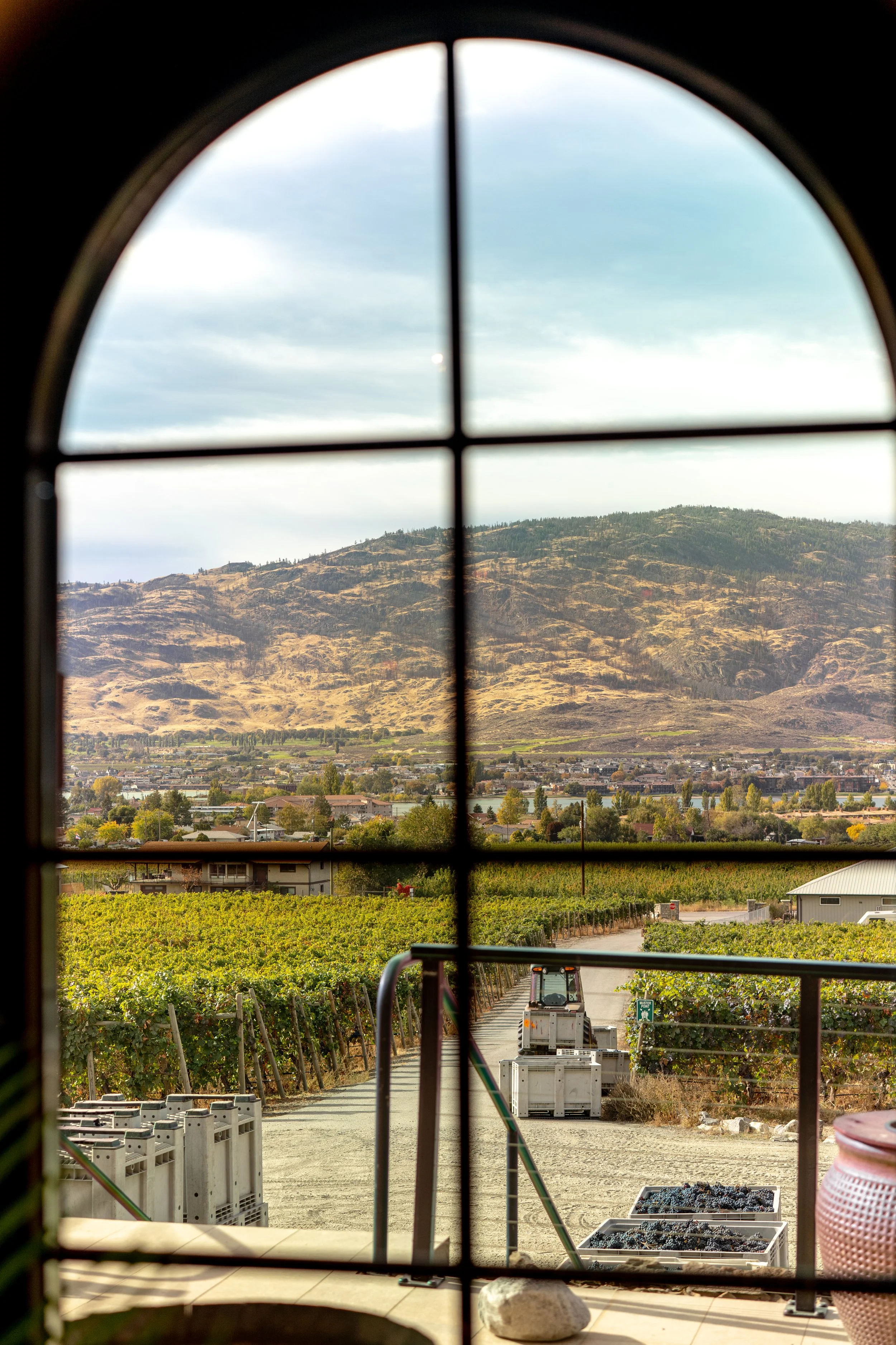 tasting room photography