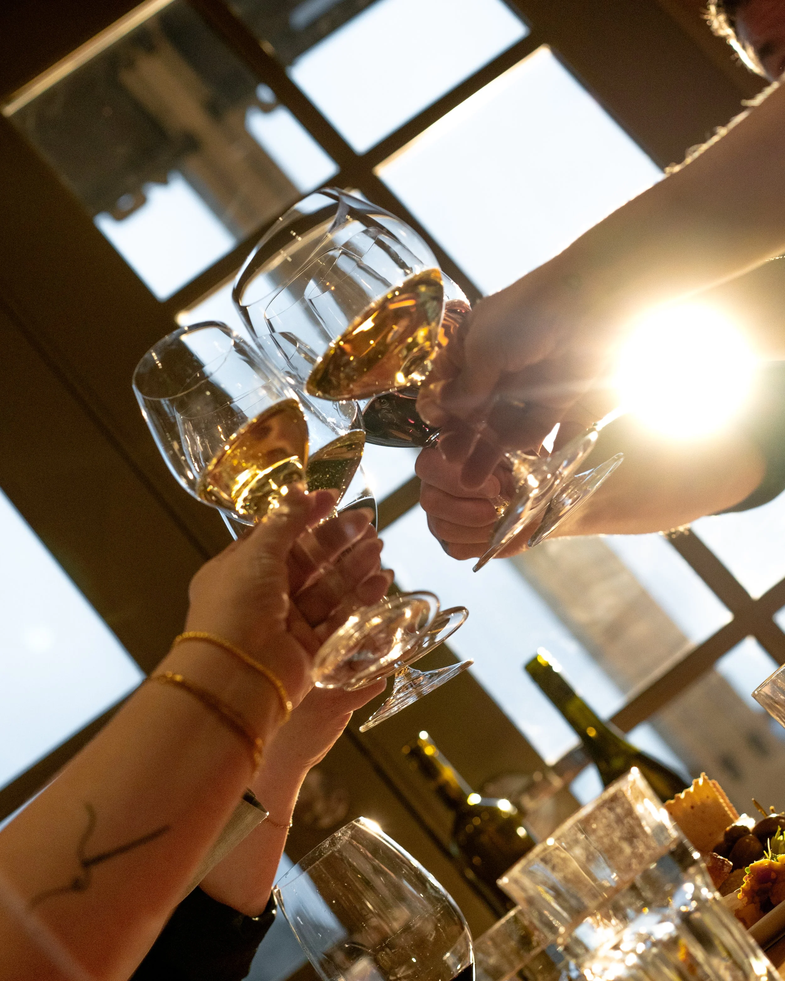 20260306 Burrowing Owl-23.jpg