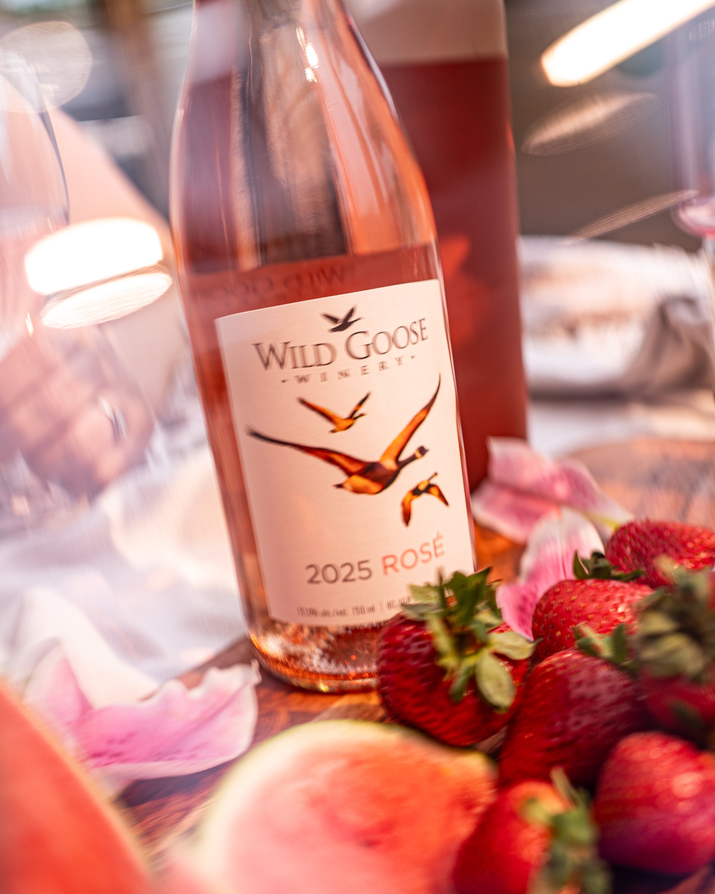 Wild Goose