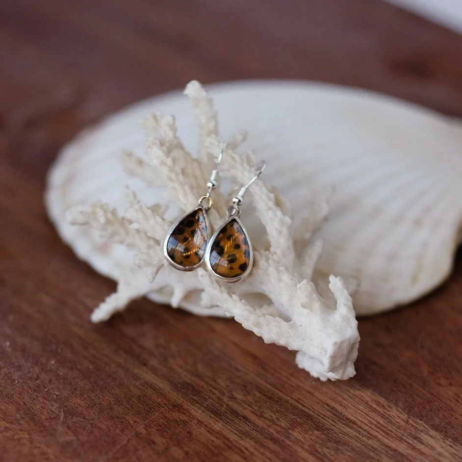 Real Butterfly Wing Earrings