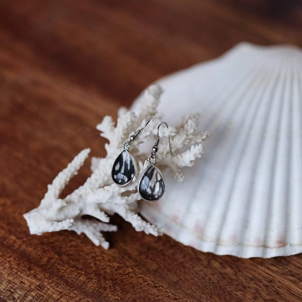 Real Butterfly Wing Earrings