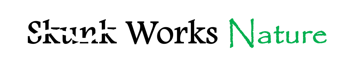 Skunk Works Nature AI