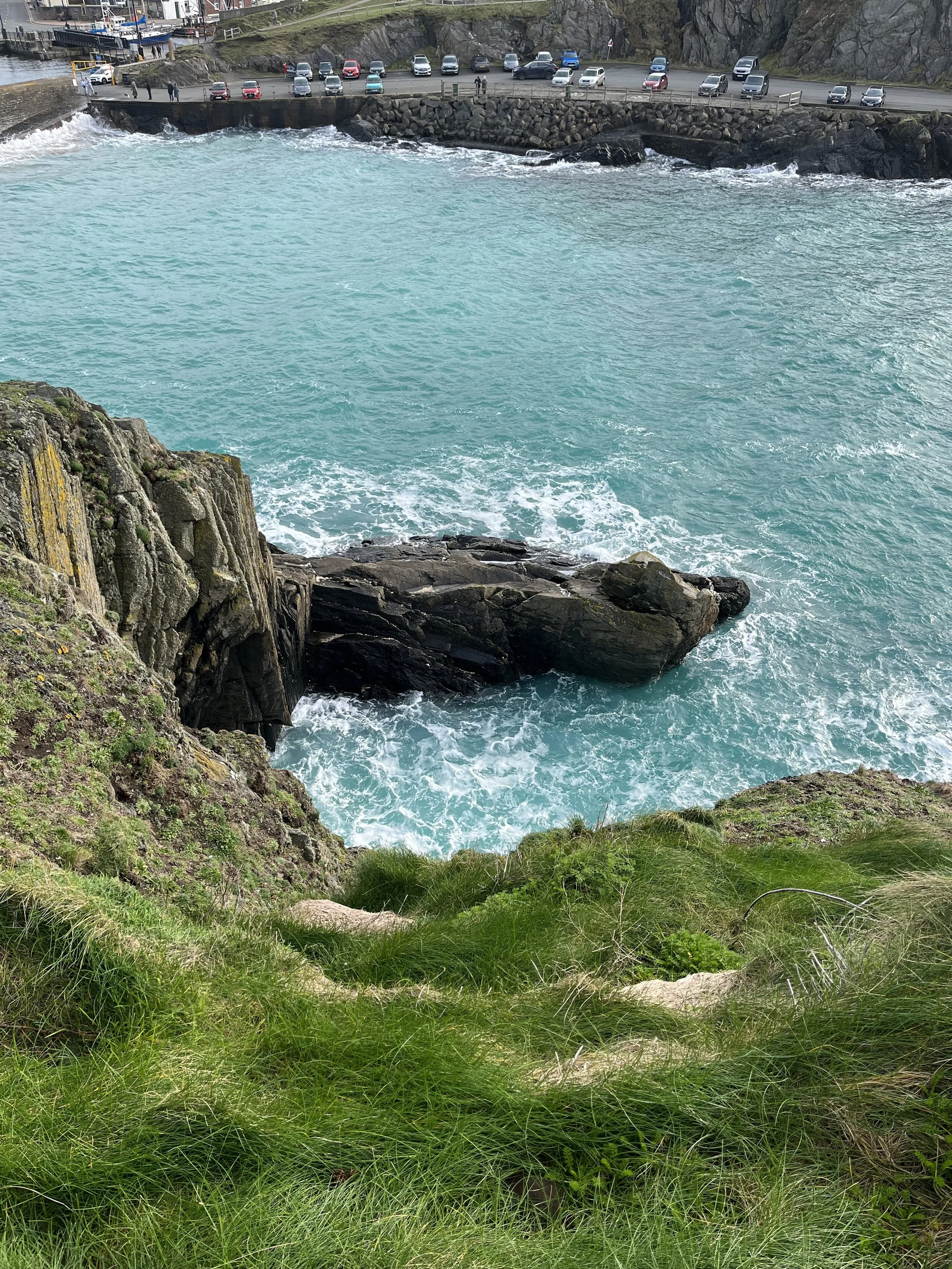 A Quiet Day at Curraghs Wildlife Park