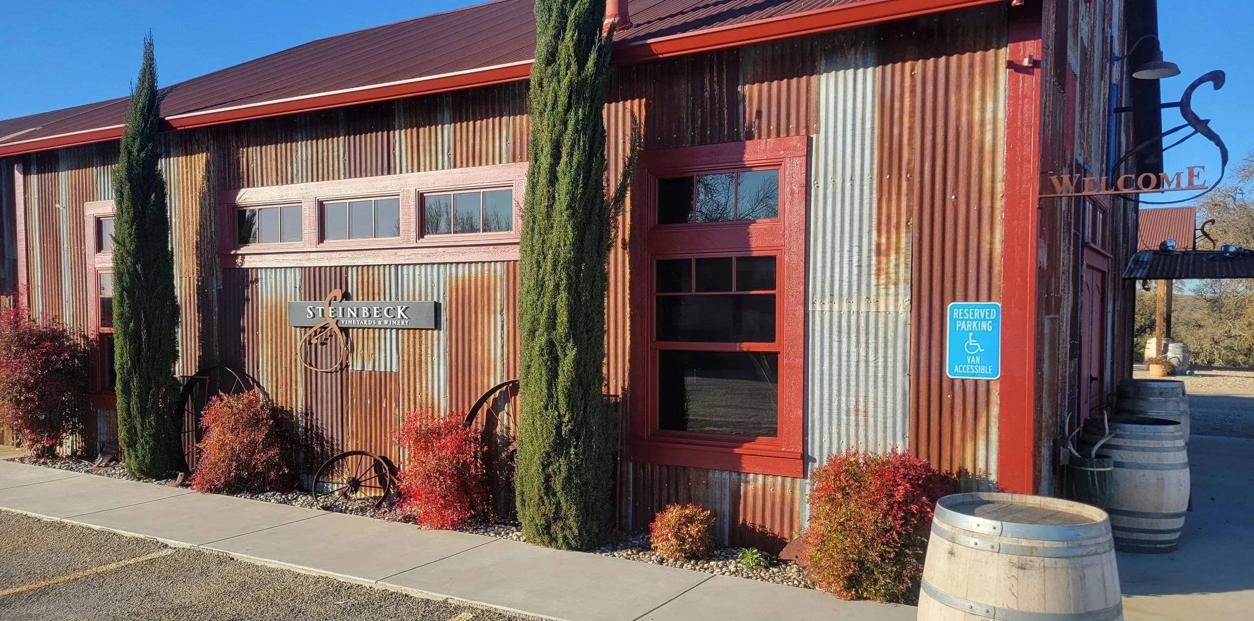 Rustic winery building with a sign reading 'Steinbeck Vineyards & Winery', tall cypress trees, red and green shrubs, and a reserved parking sign for handicapped accessible vehicles, with wine barrels outside.