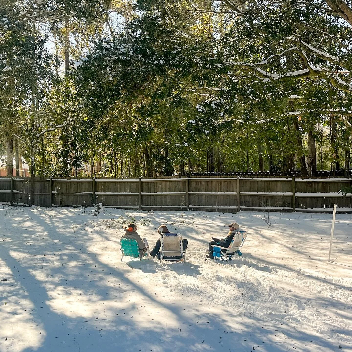 Patty snow days