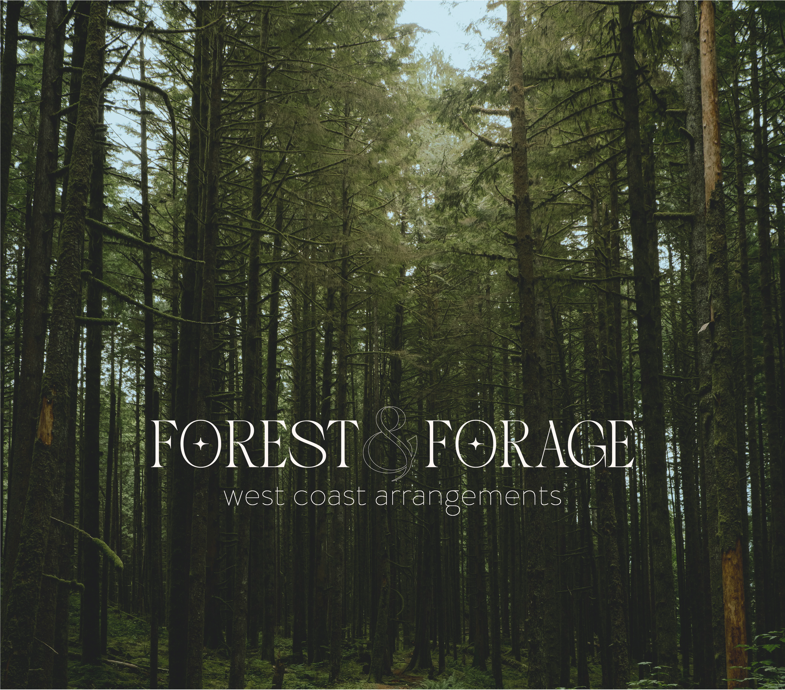 smallerArtboard 1.png