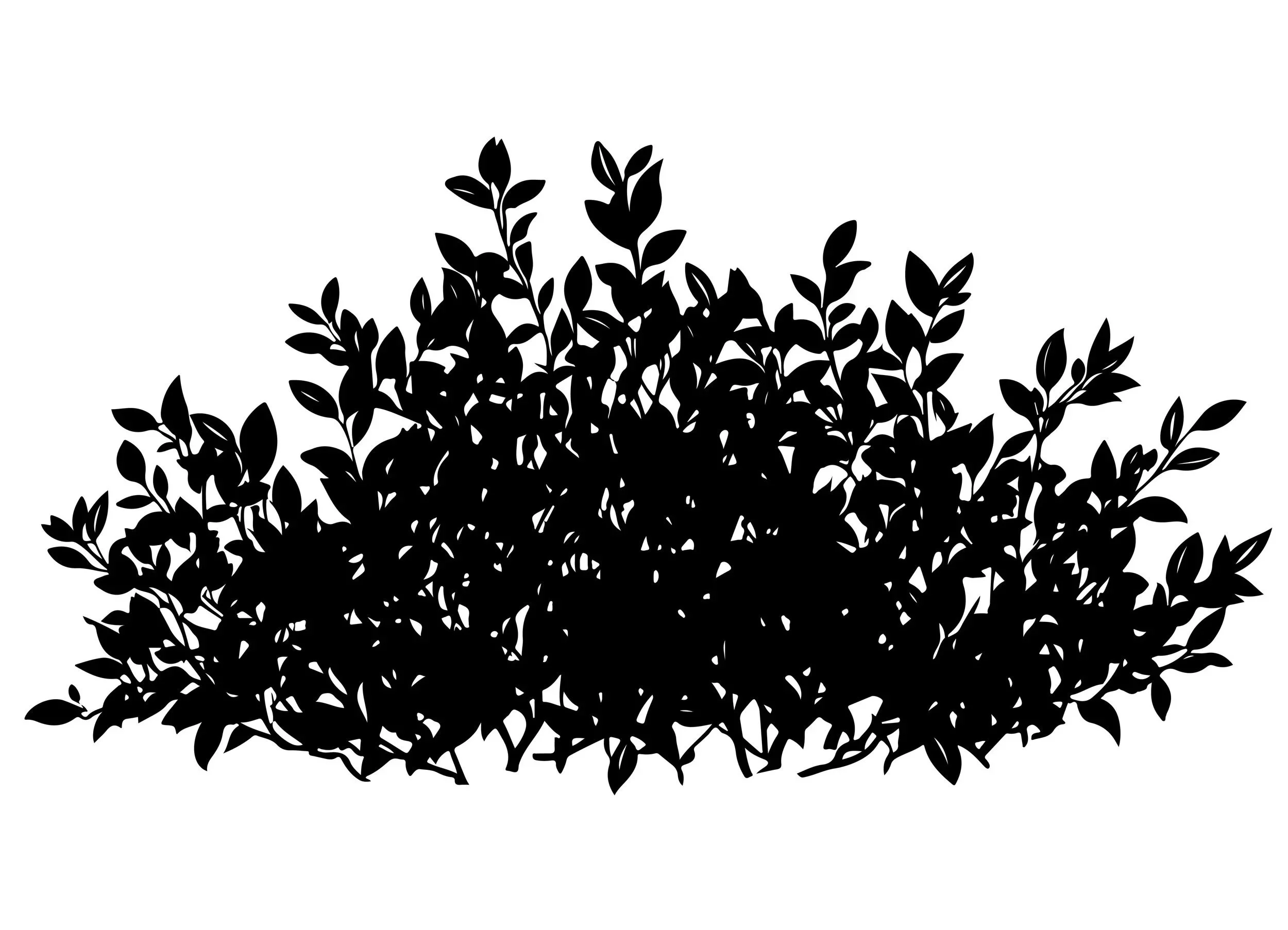 Shrub Winter Protection Spray in Massachusetts.