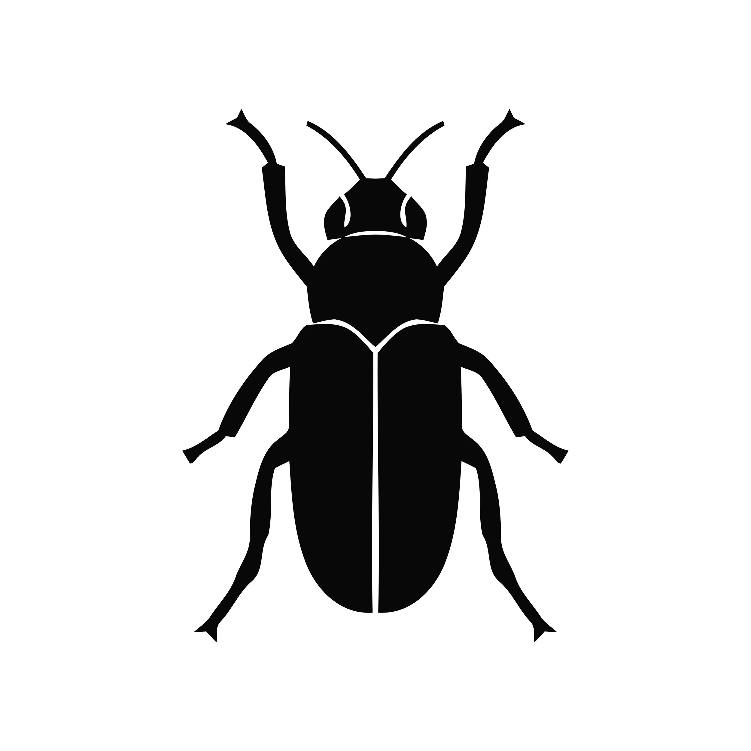 Beatle elimination services on Cape Cod, MA.