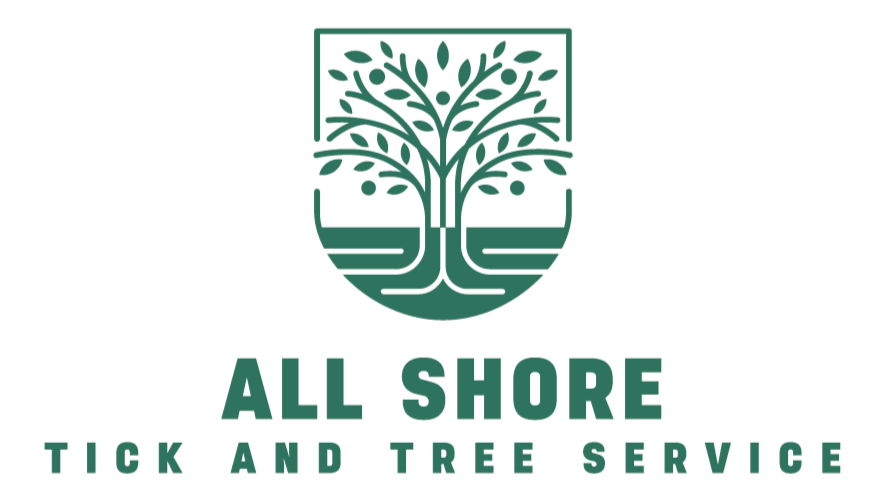 South Shore Tick and Tree