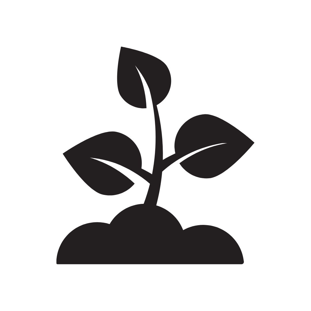 Tree and shrub health.