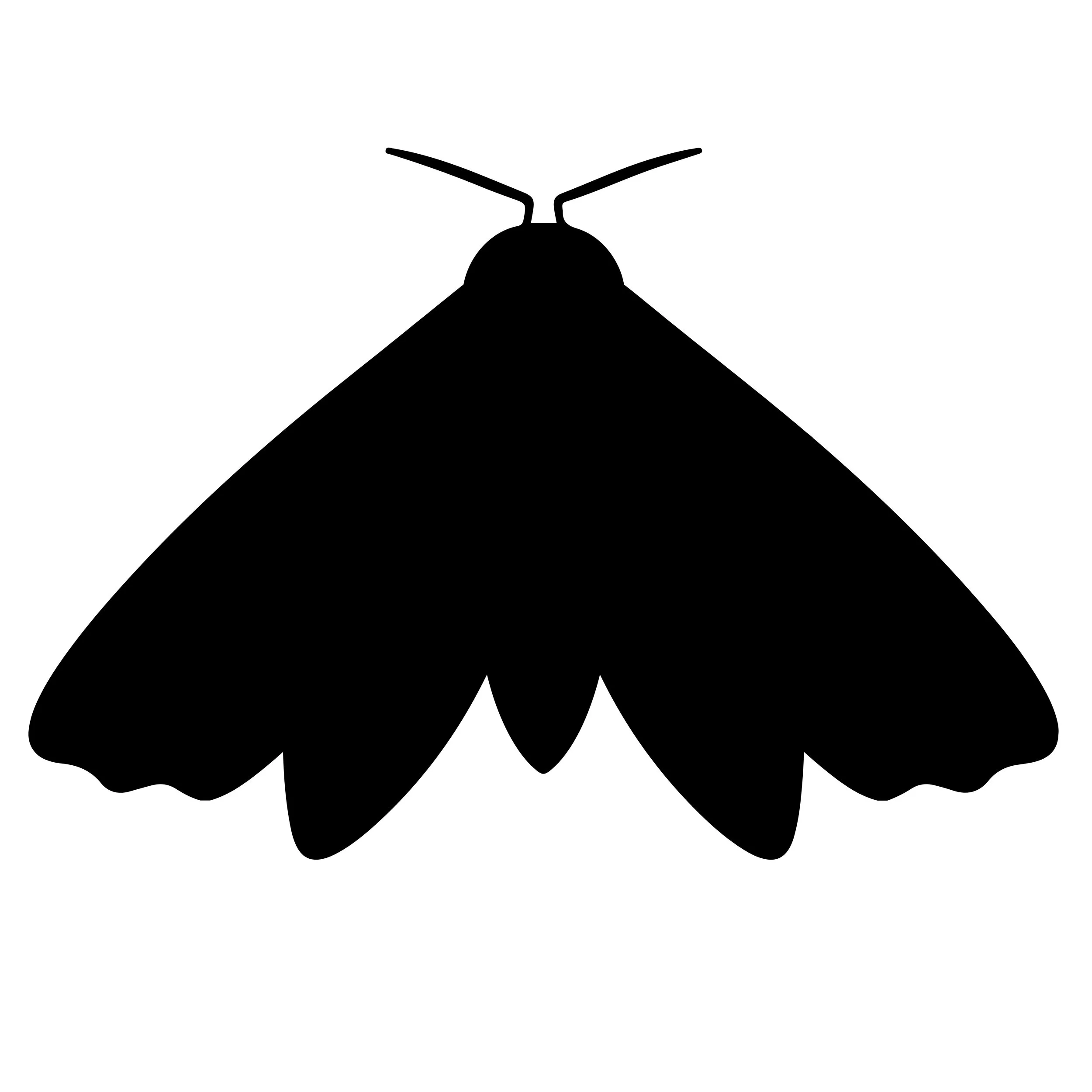 Winter moth applications on Cape Cod.