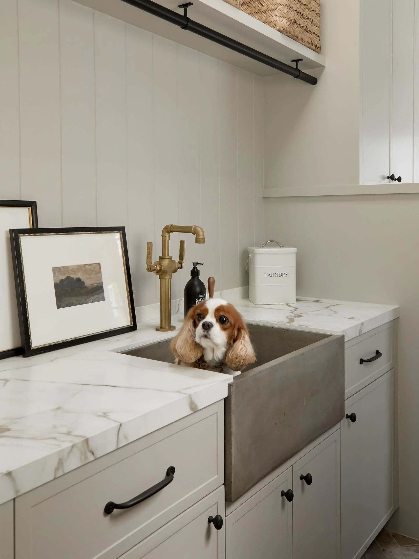 Laundry day just got a whole lot cuter!

Interior design @juliedonovandesign 
Photo @public311design